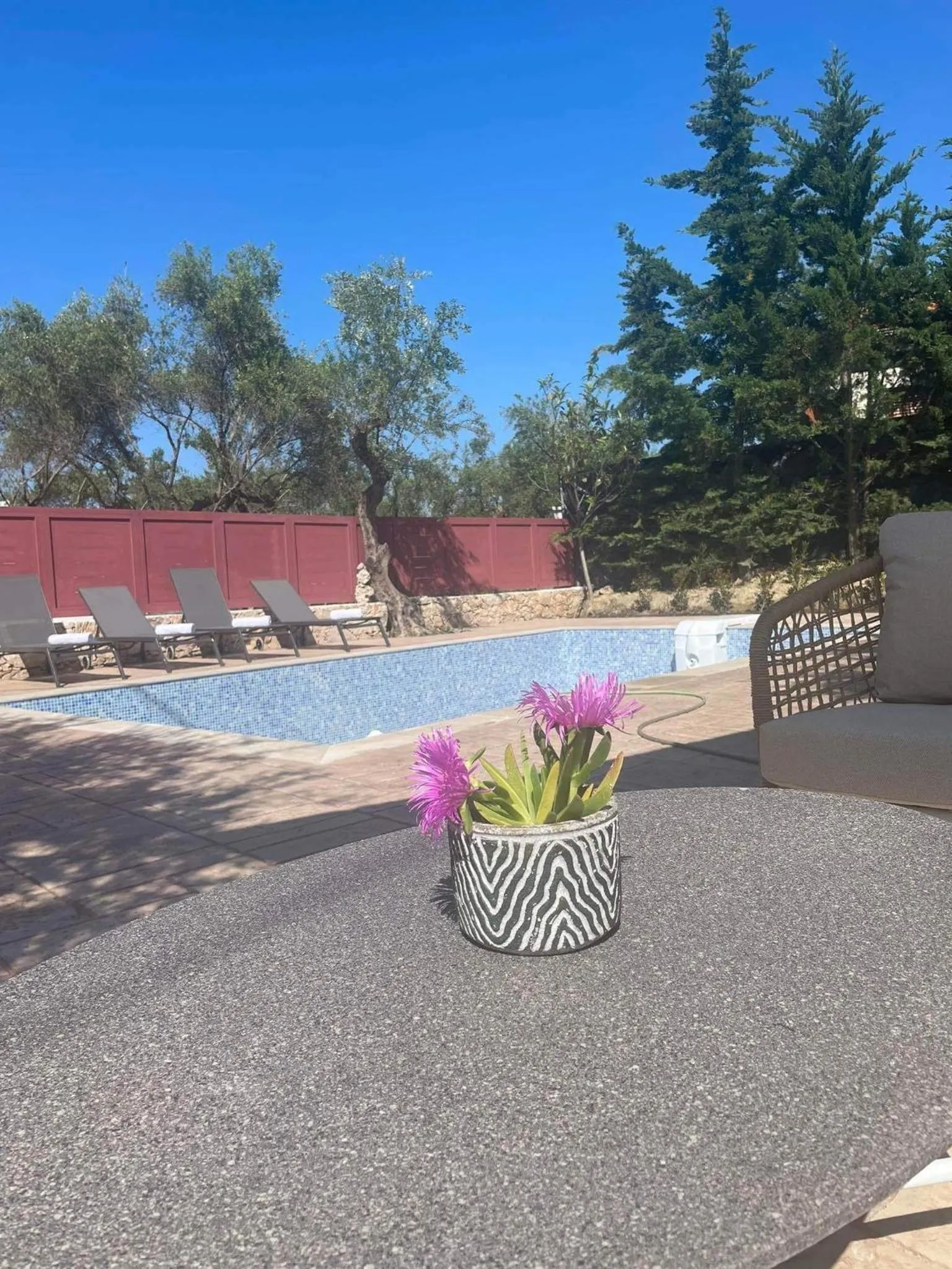 Nissi Collection Rooms