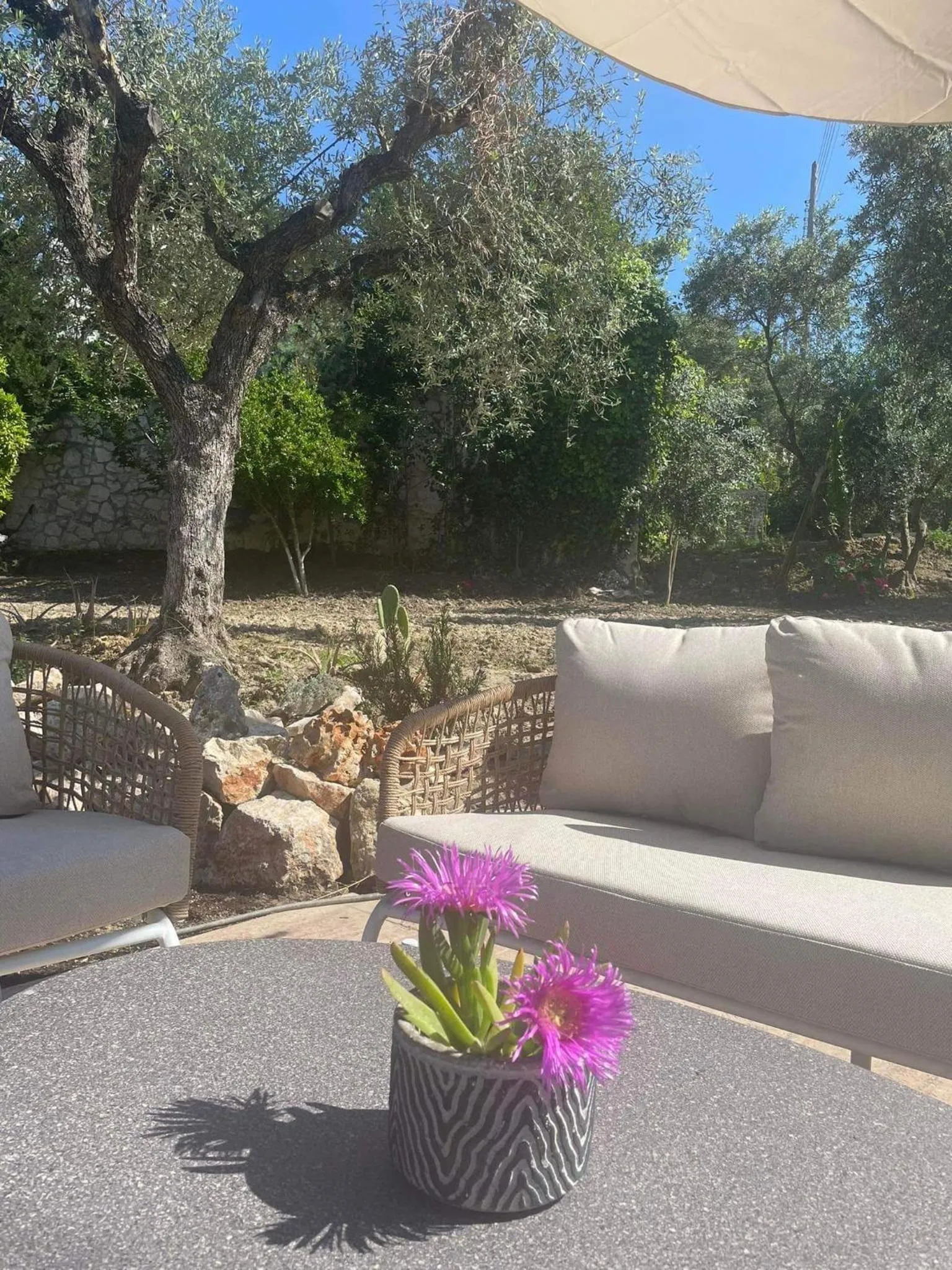 Nissi Collection Rooms