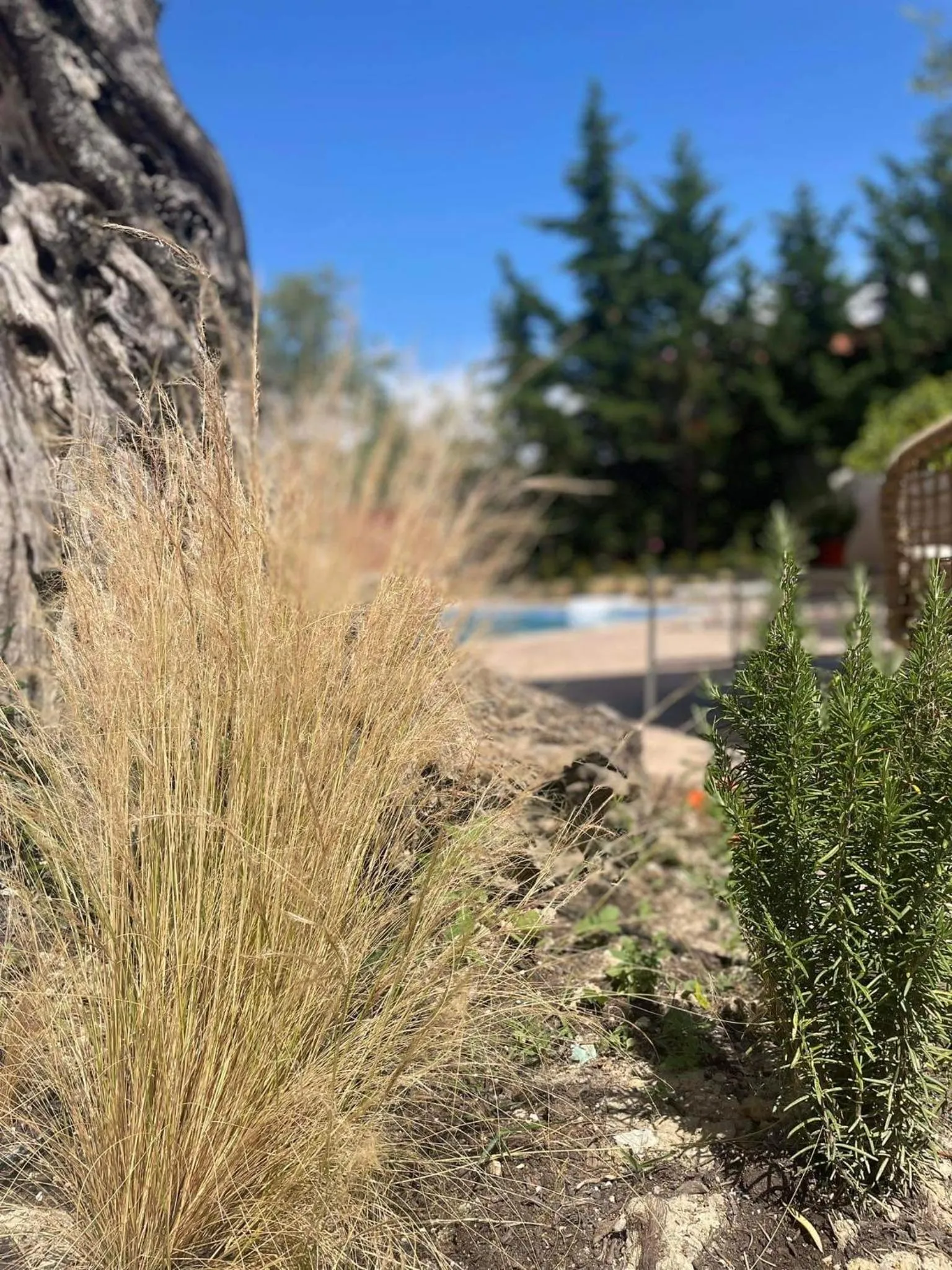 Nissi Collection Rooms