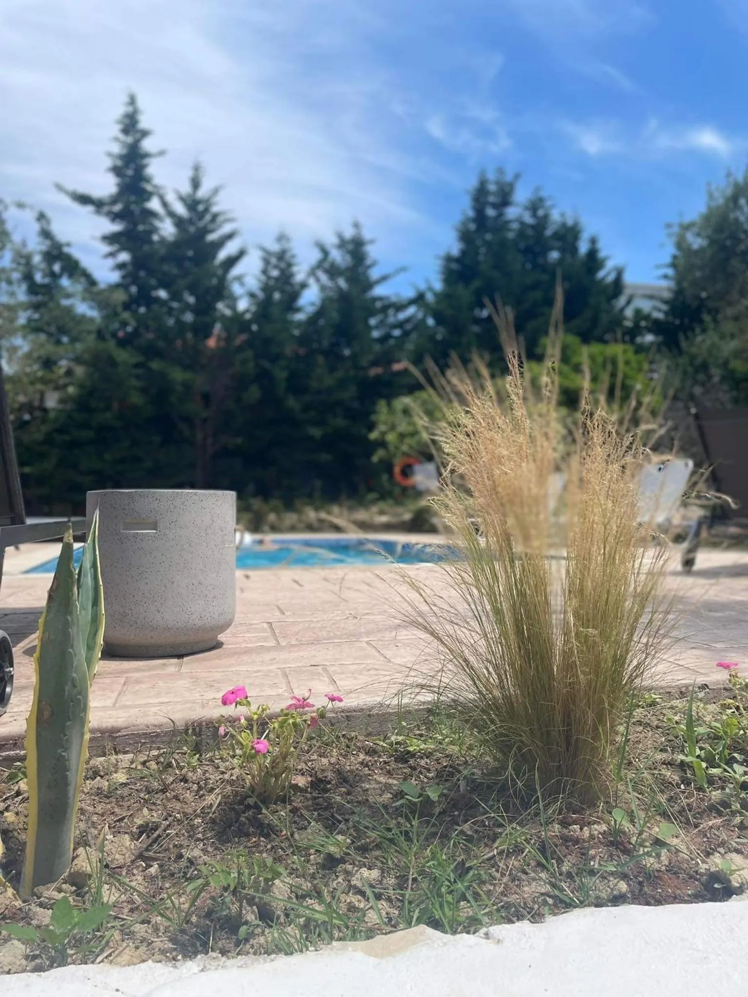 Nissi Collection Rooms