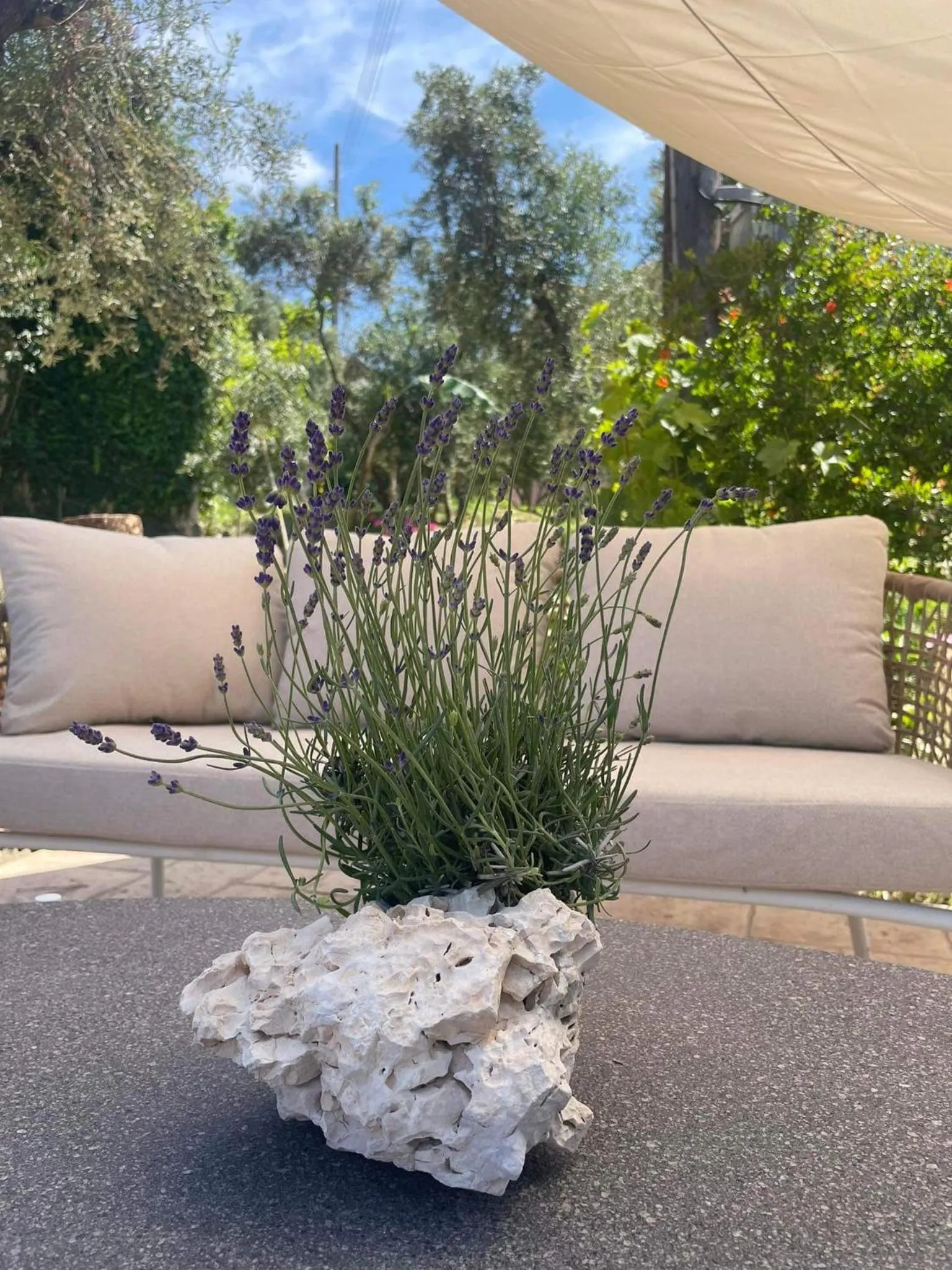 Nissi Collection Rooms