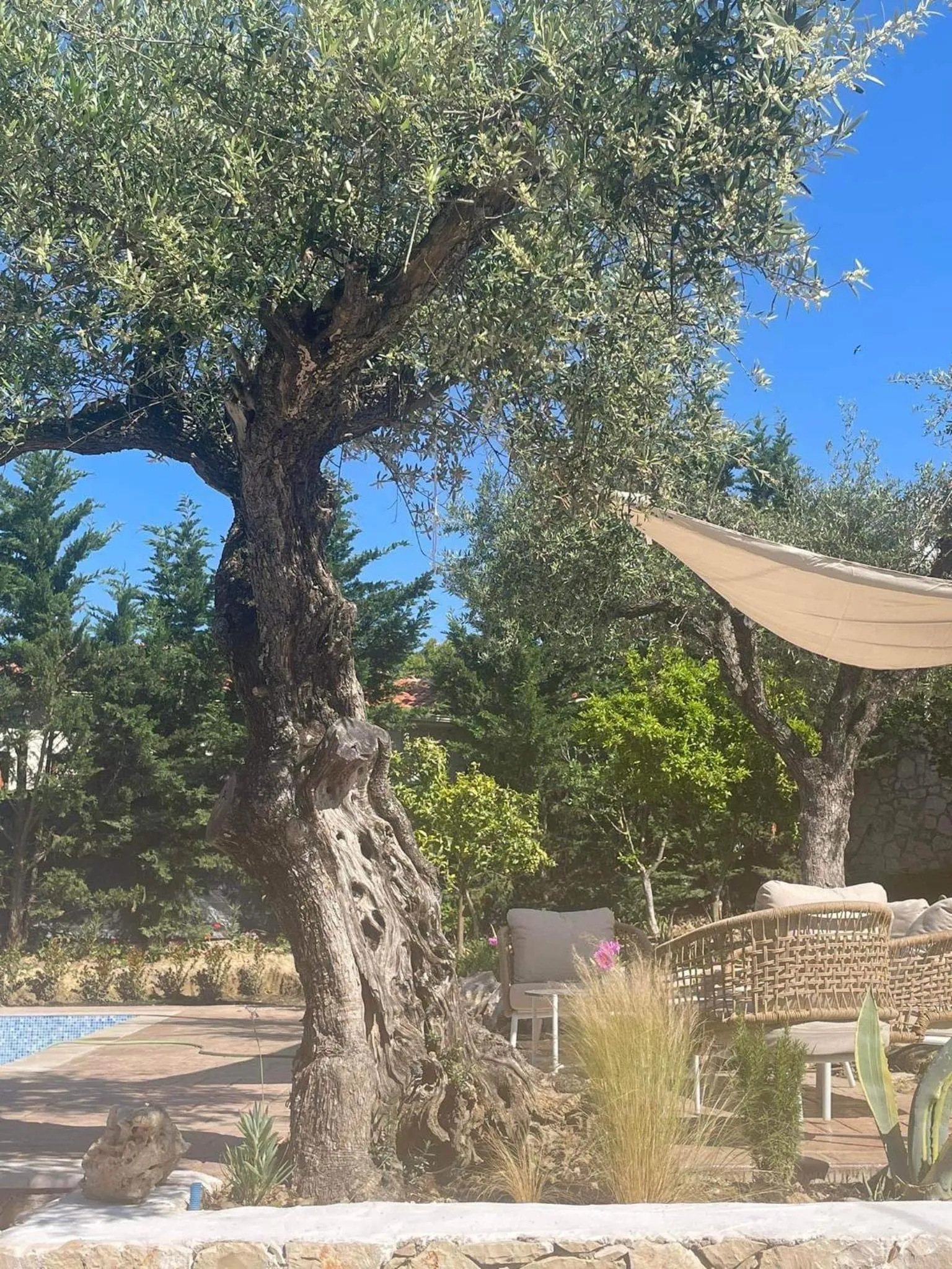 Nissi Collection Rooms