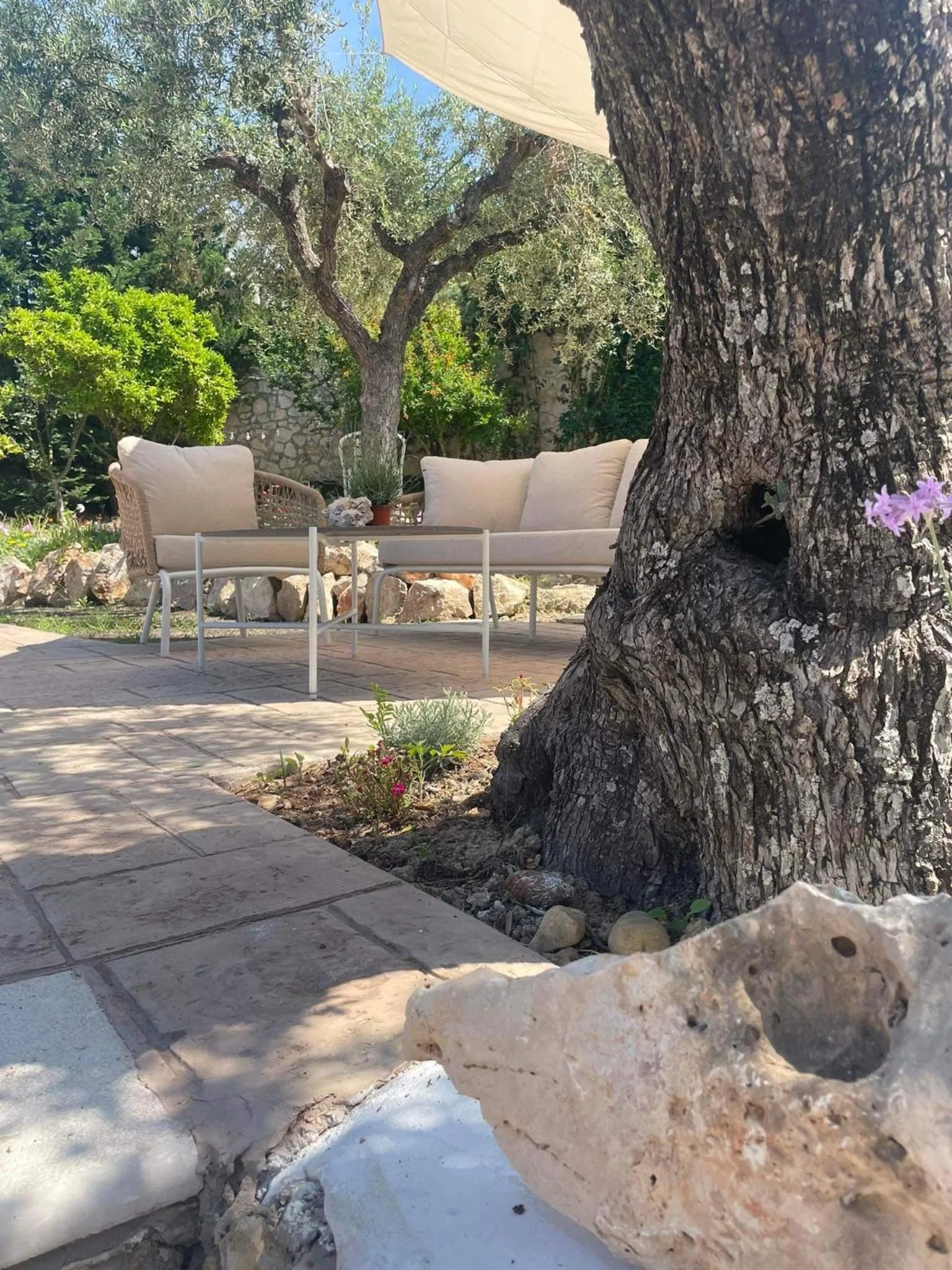 Nissi Collection Rooms