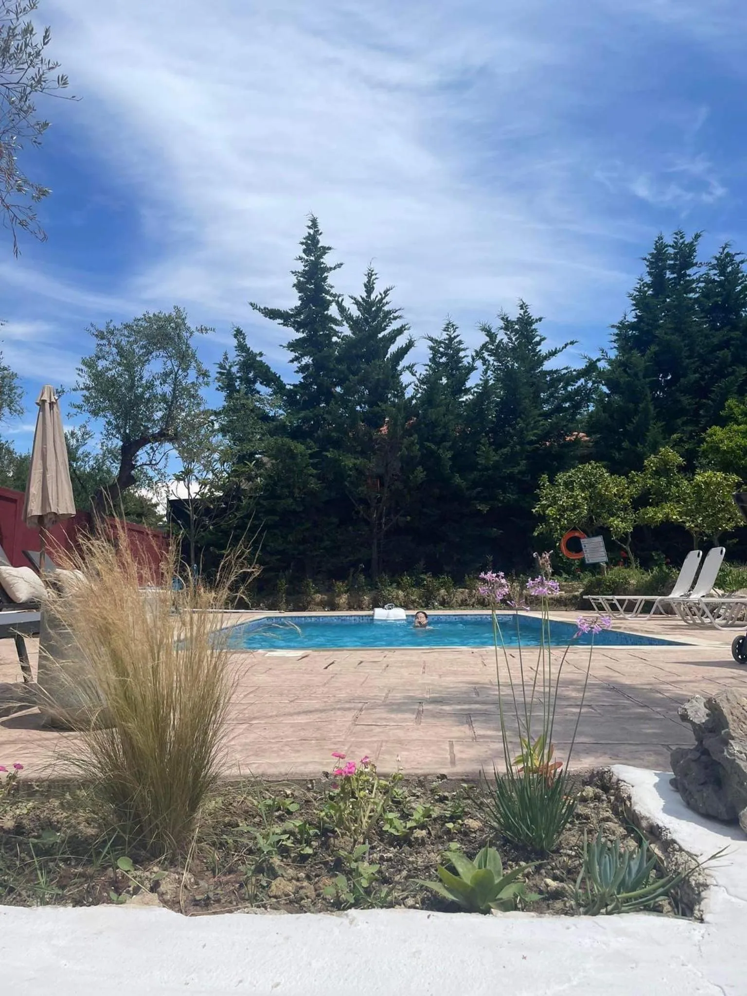 Swimming pool in Nissi Collection Rooms