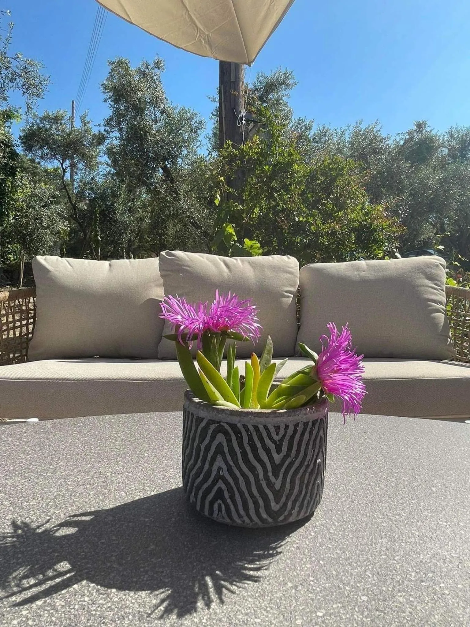 Nissi Collection Rooms