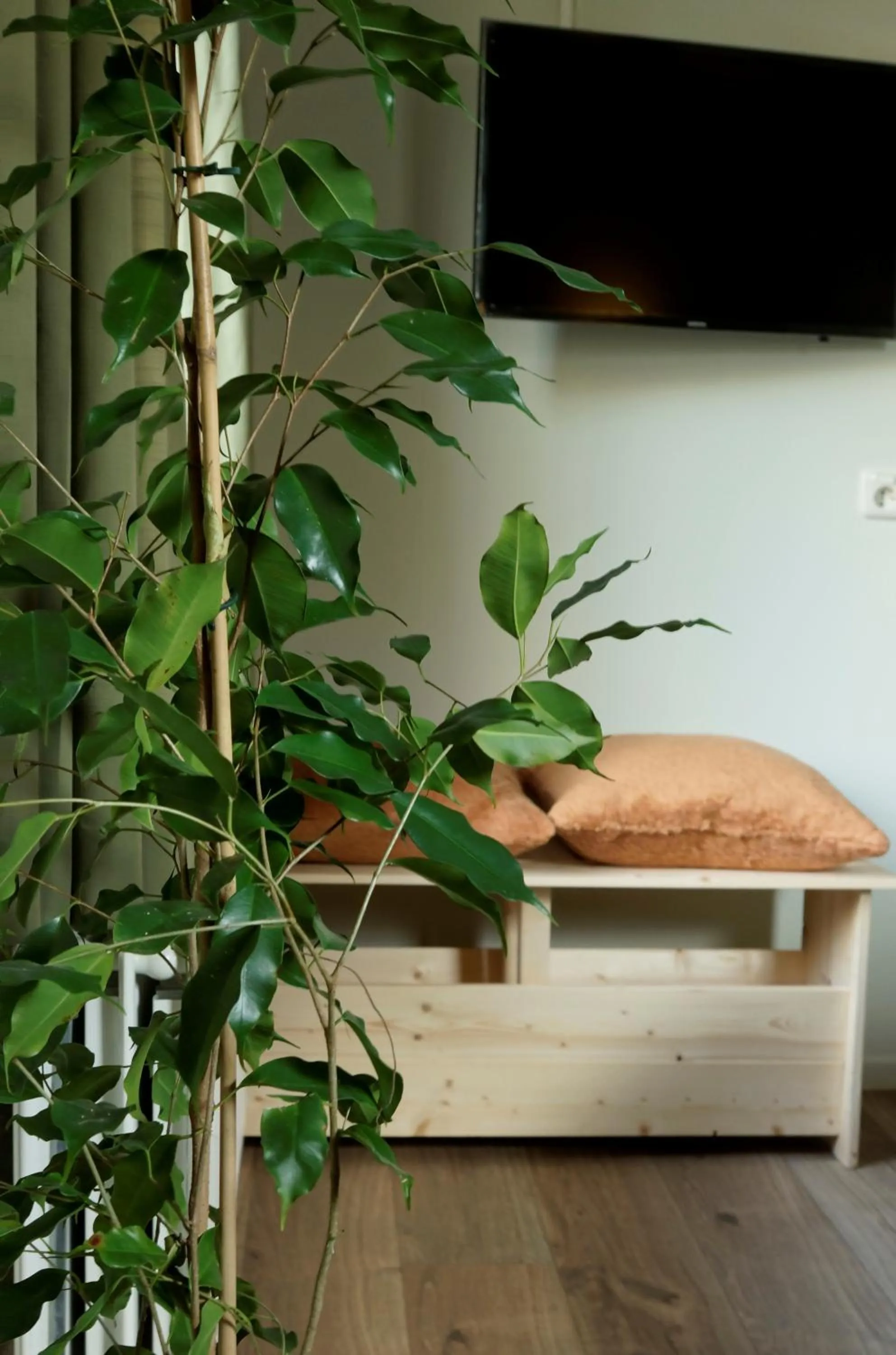 Bed and Breakfast het Groentje