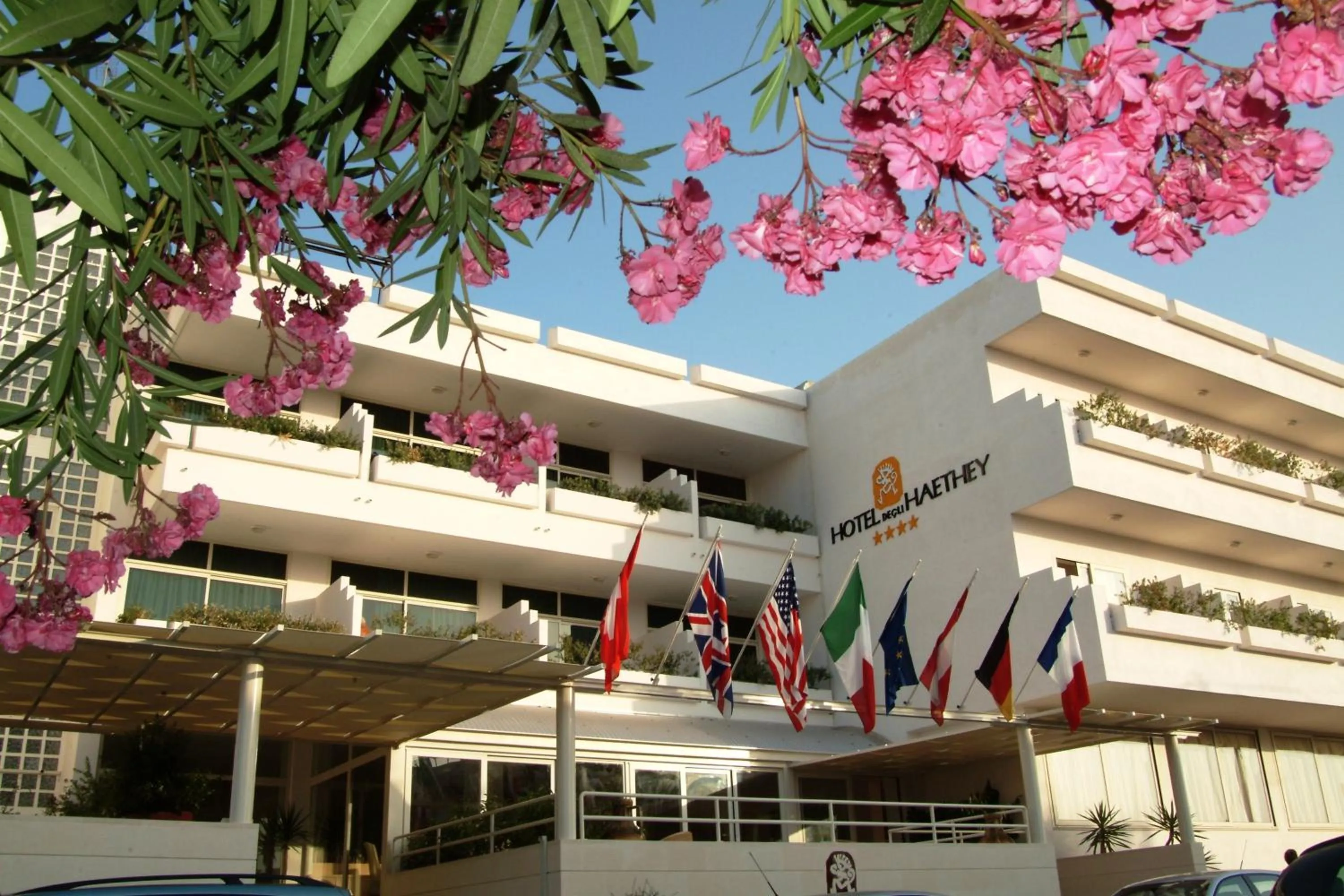 Facade/entrance in Hotel Degli Haethey