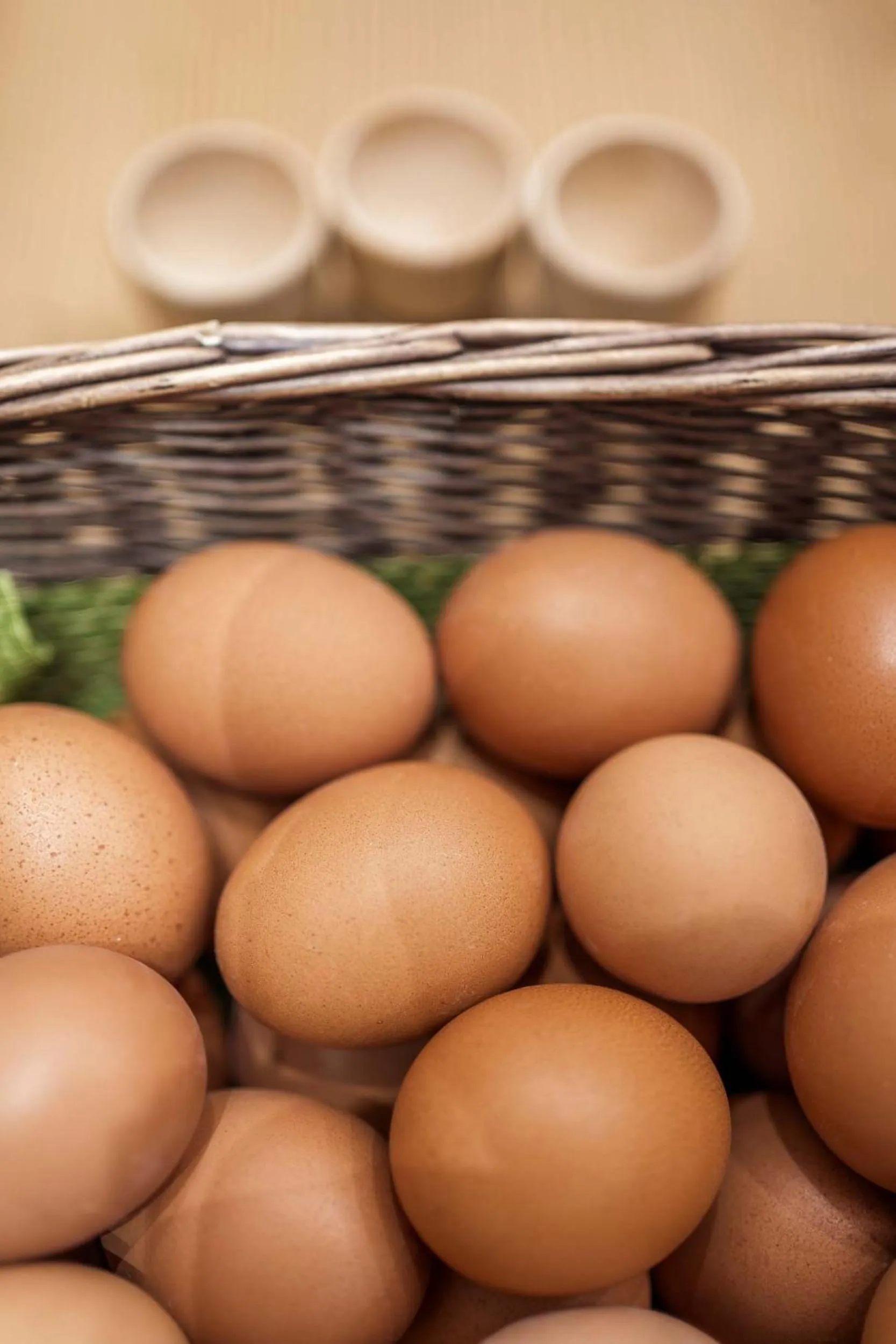 Food and drinks in Hotel Olimpia