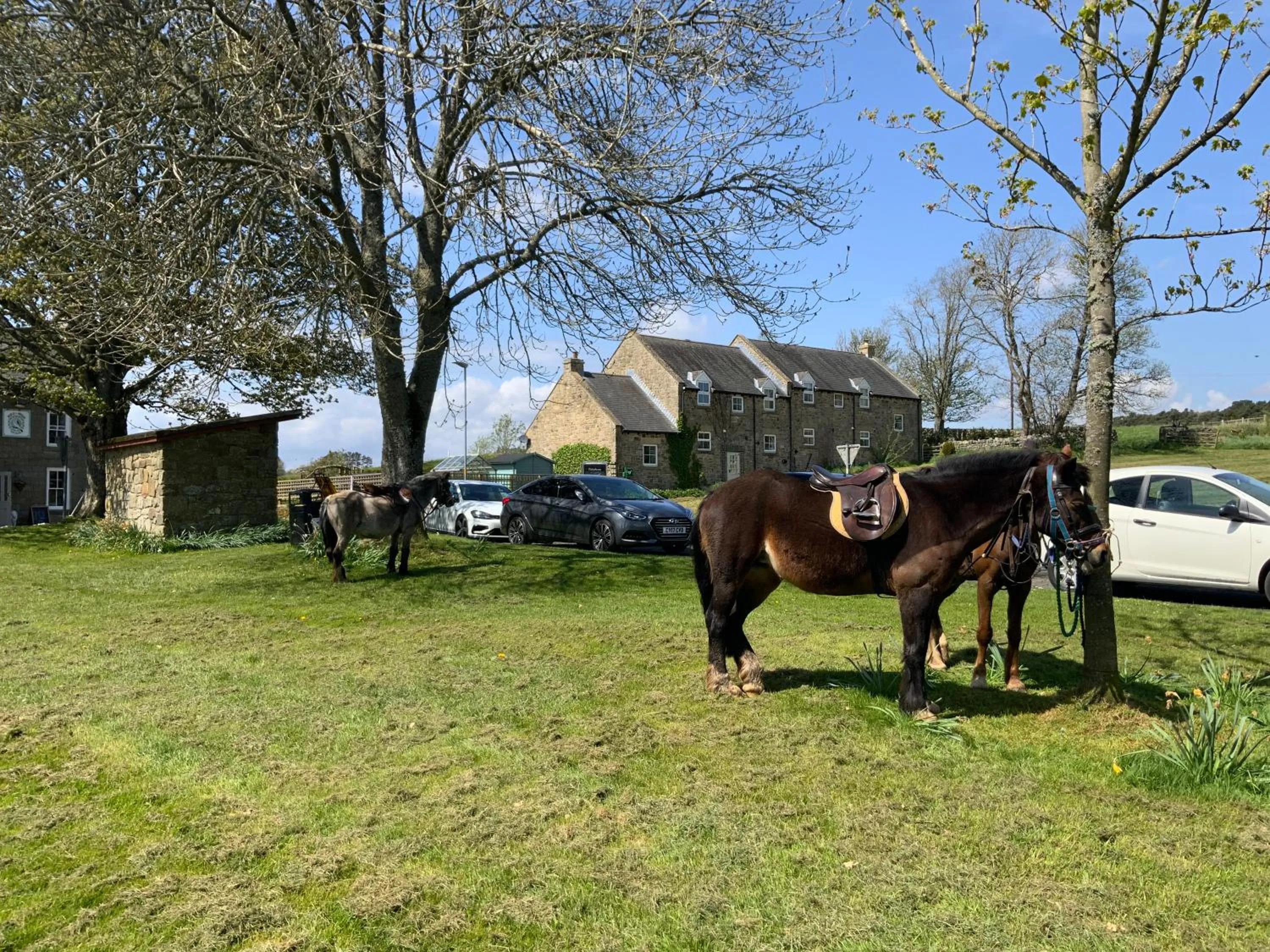 Property building in Bird In Bush Elsdon