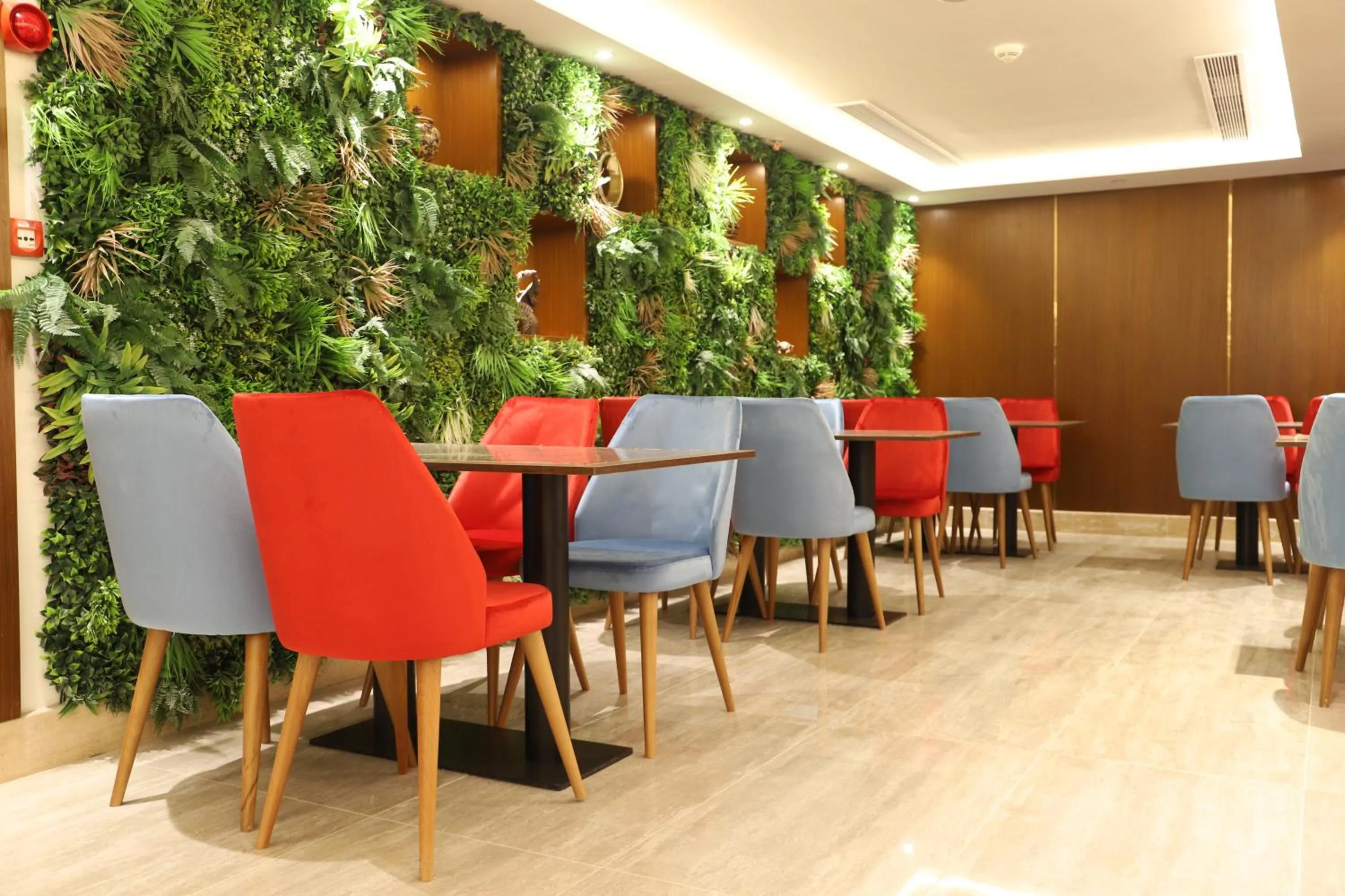 Restaurant/places to eat in Roots Hotel