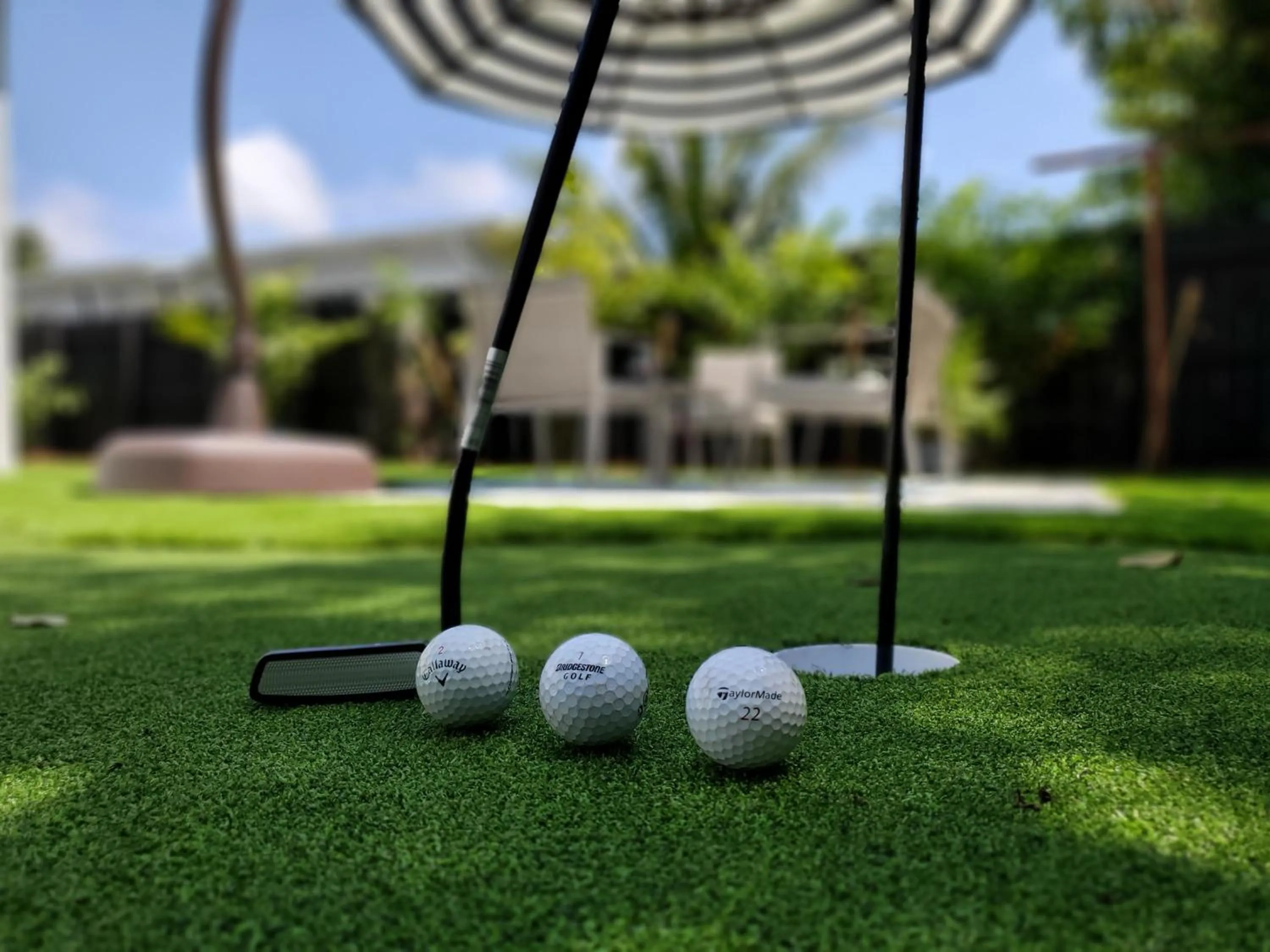 Activities in Casa Cuba in Little Havana, Brickell, Calle 8 and 10 minutes to the Beach FREE PARKING