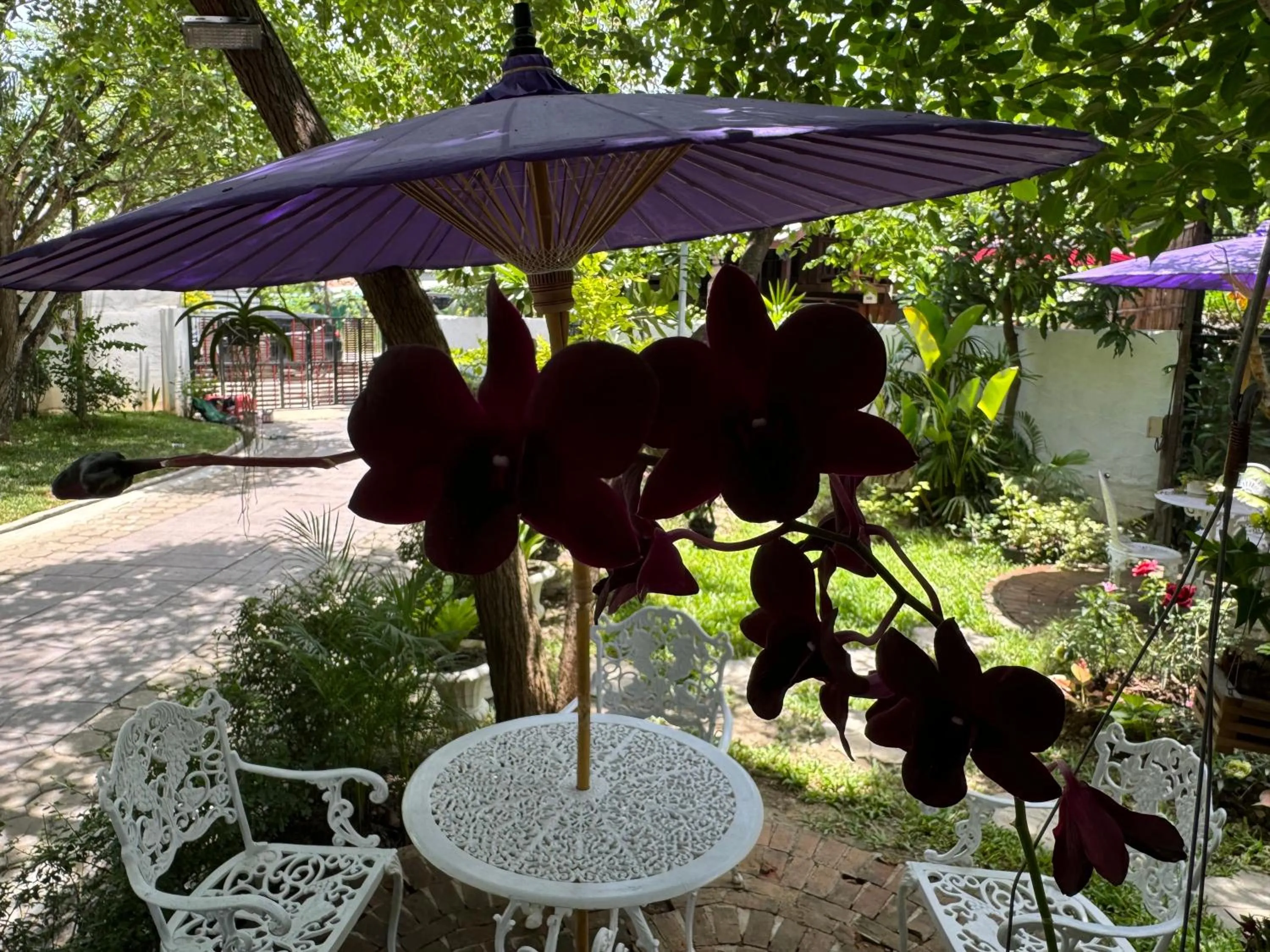 Garden view in Teewana Resort