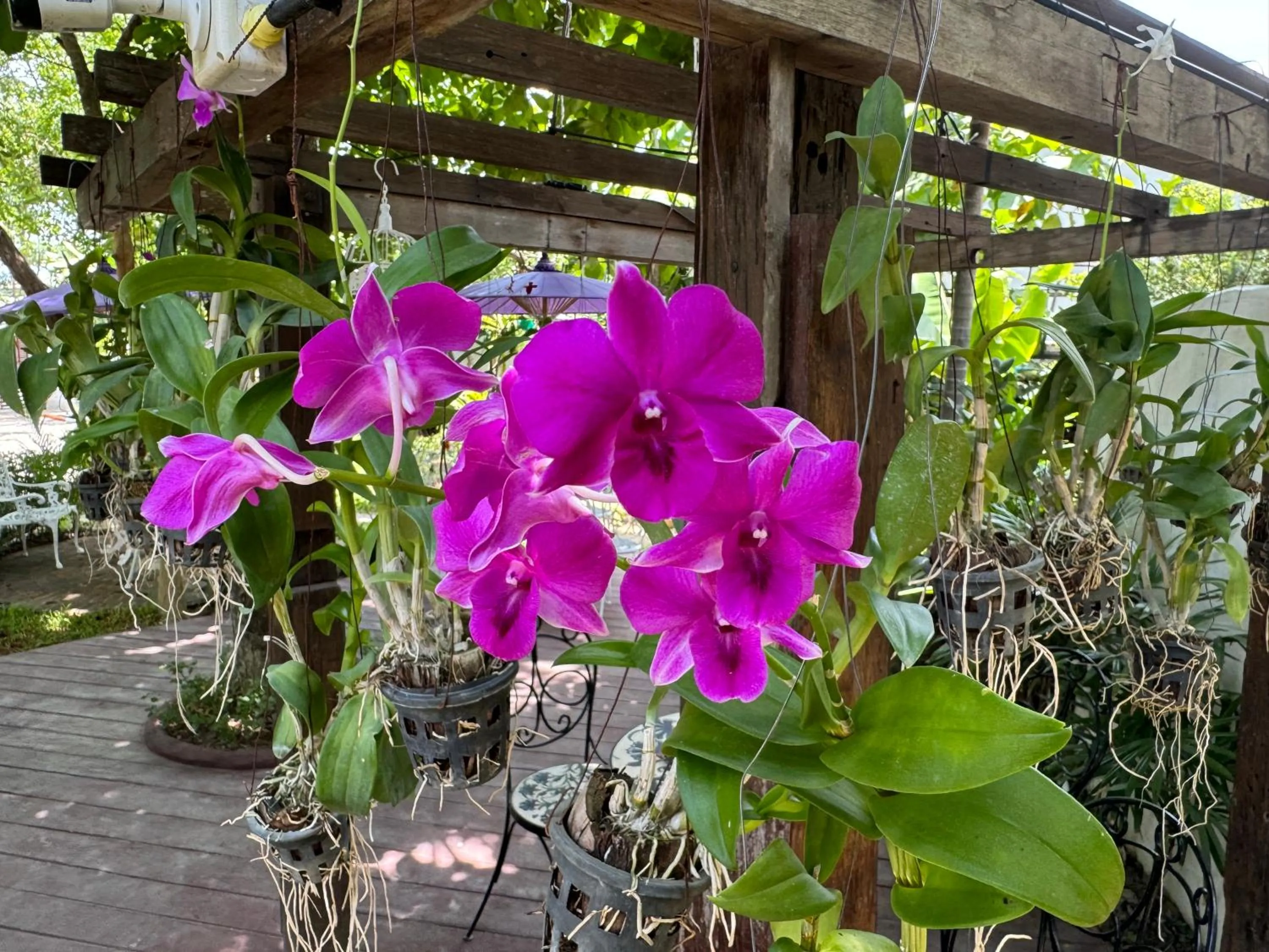 Day in Teewana Resort