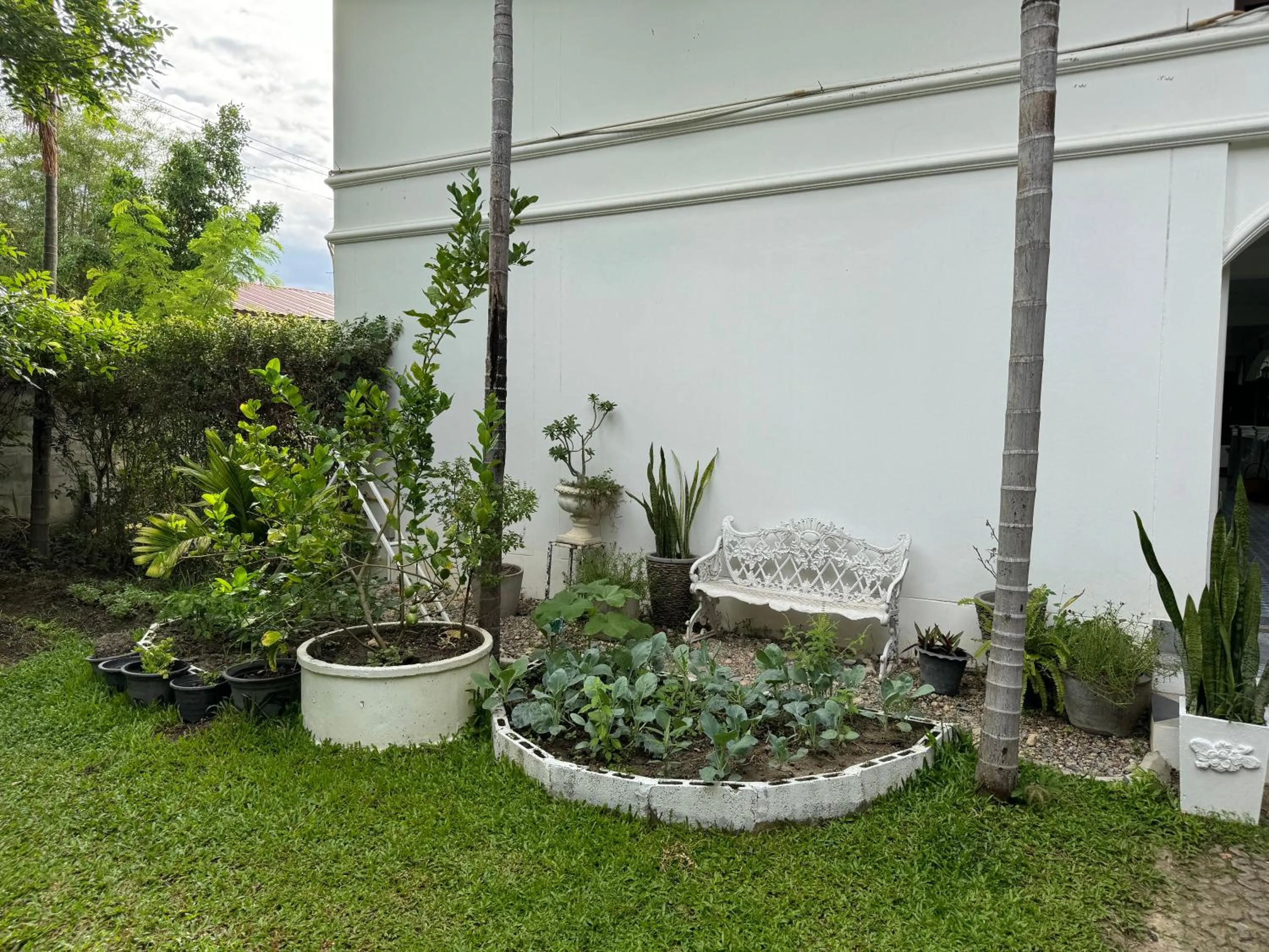 Garden in Teewana Resort