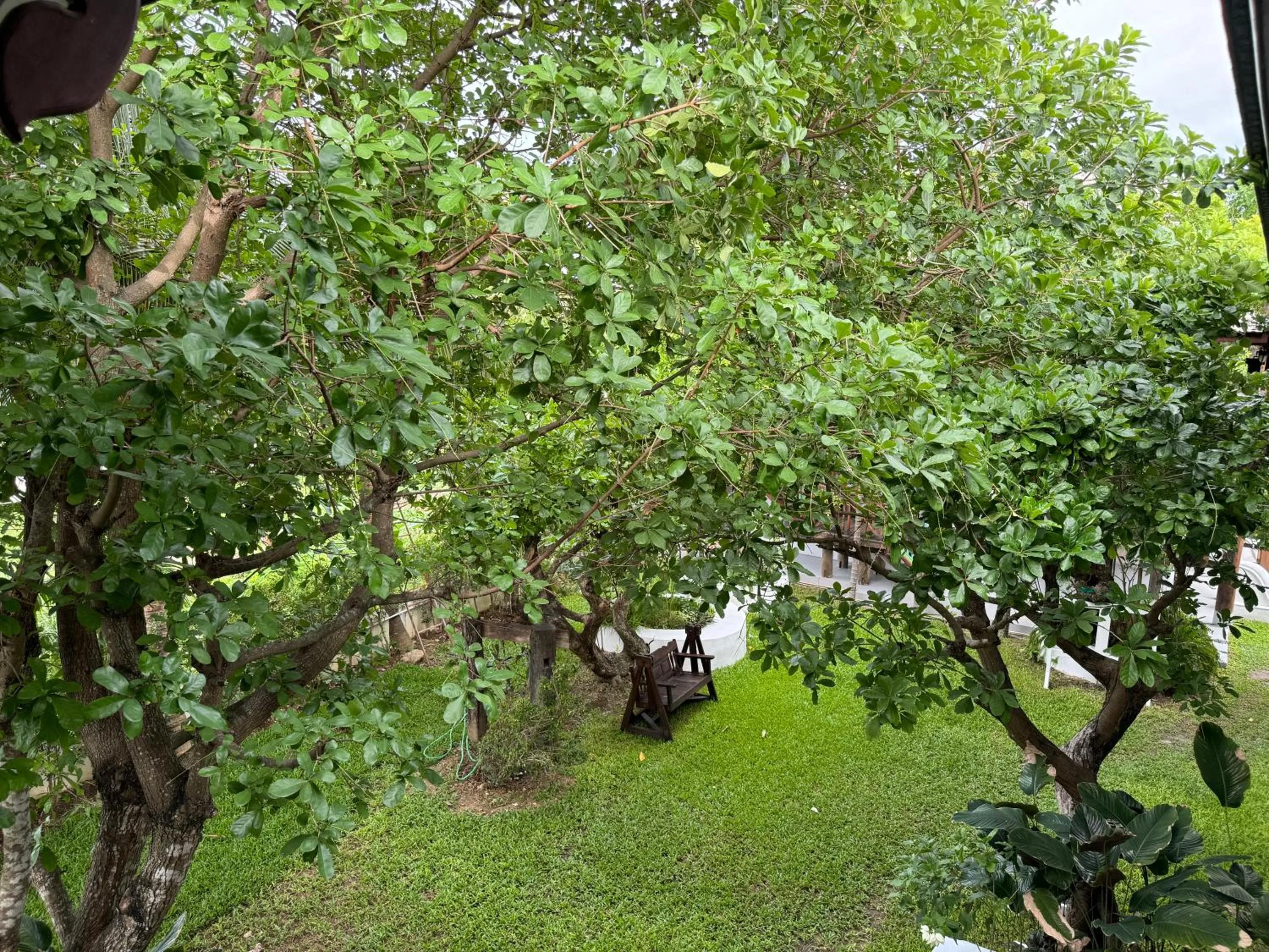 Garden view in Teewana Resort