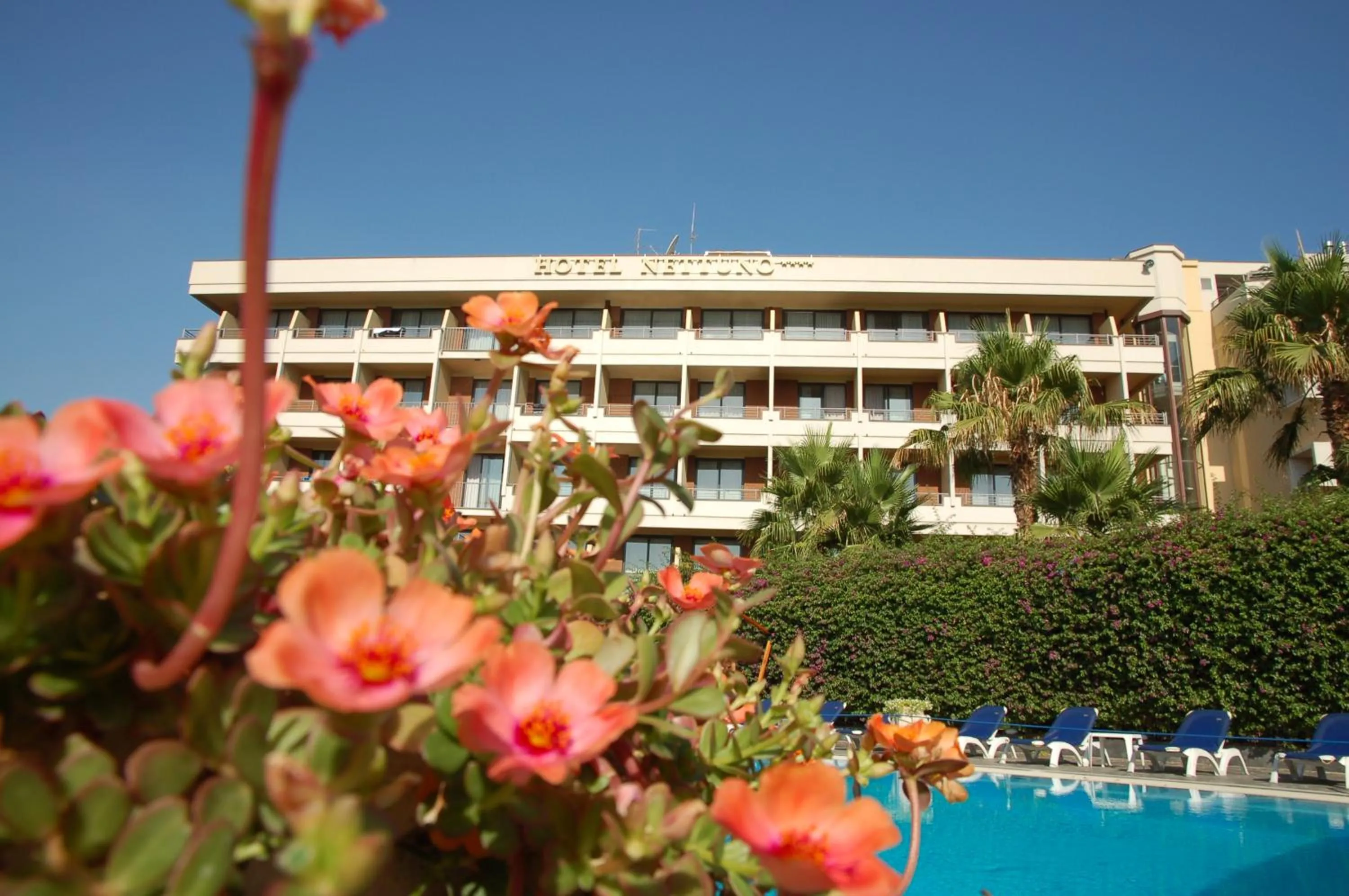 Property building in Hotel Nettuno