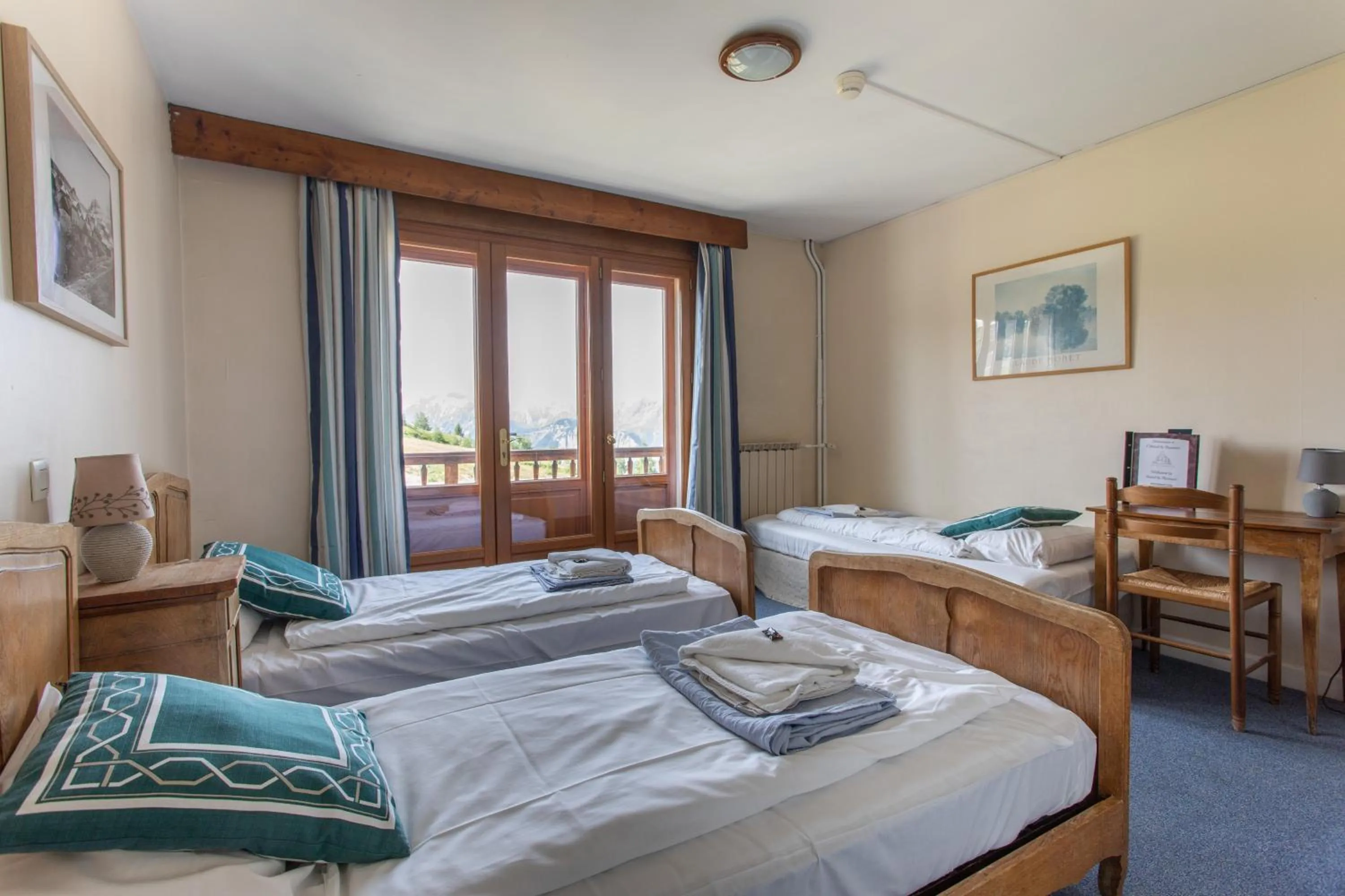 View (from property/room) in Hotel le Chamois