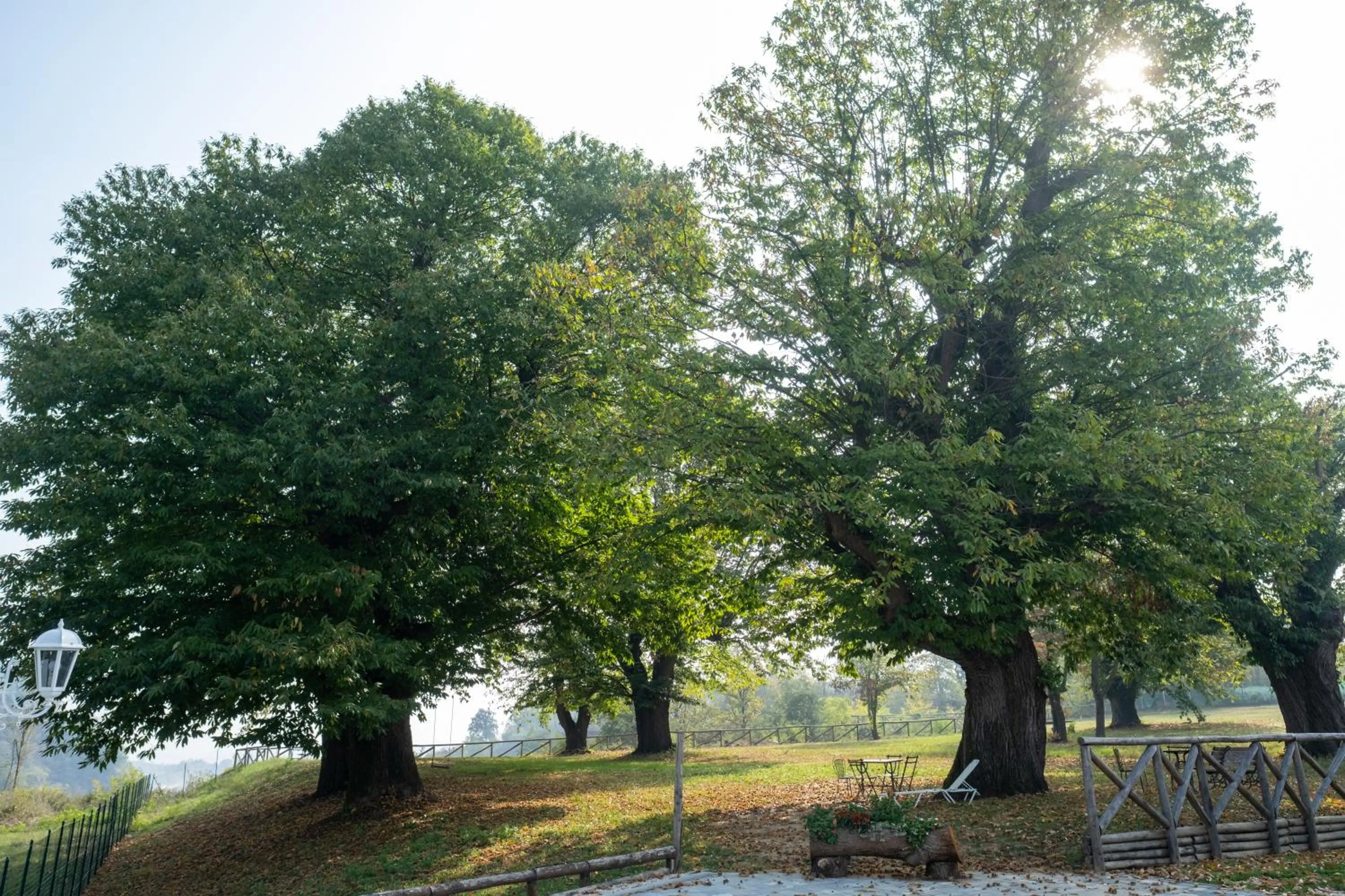 Property building in Il Riccio e la Castagna - Country House