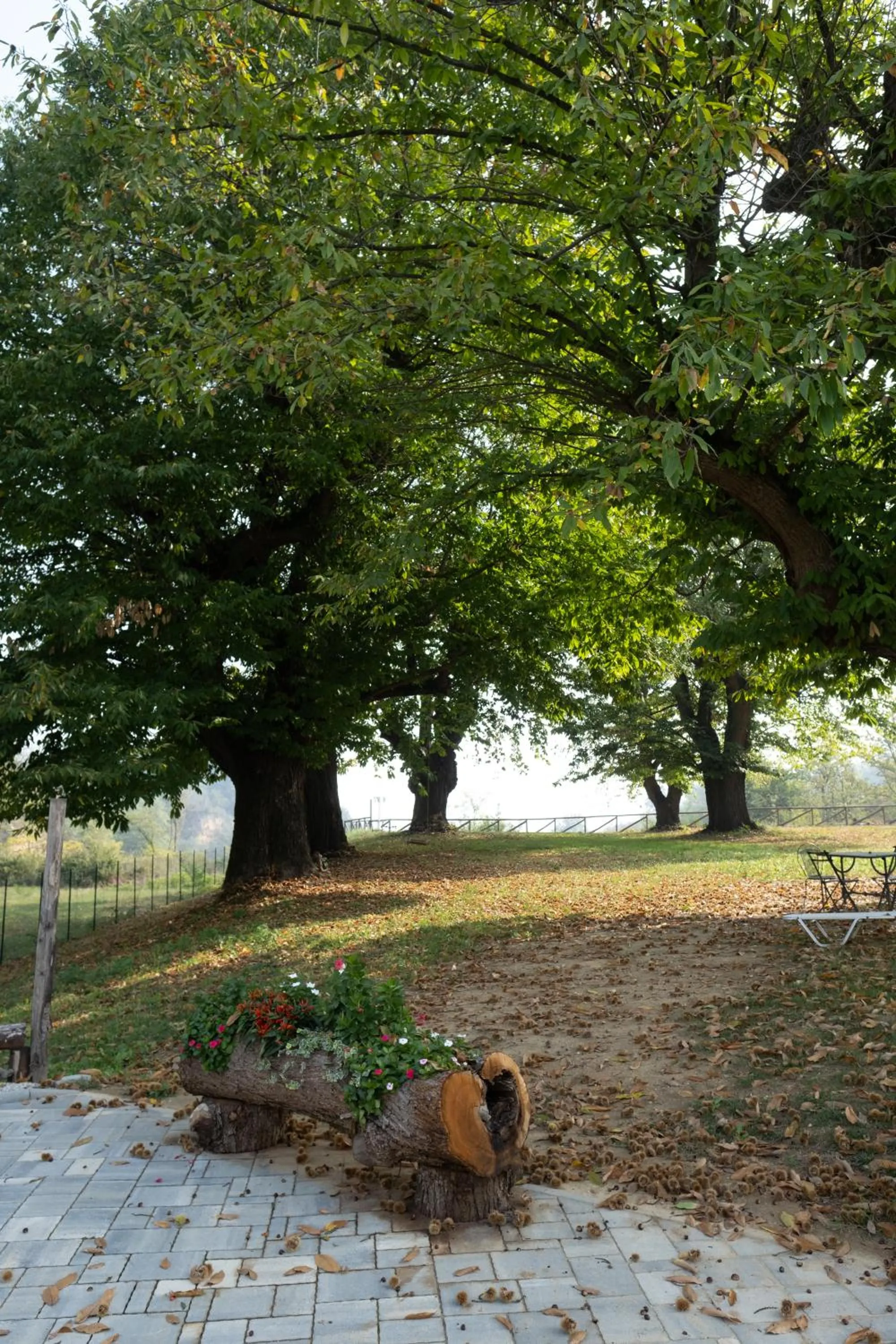 Natural landscape in Il Riccio e la Castagna - Country House
