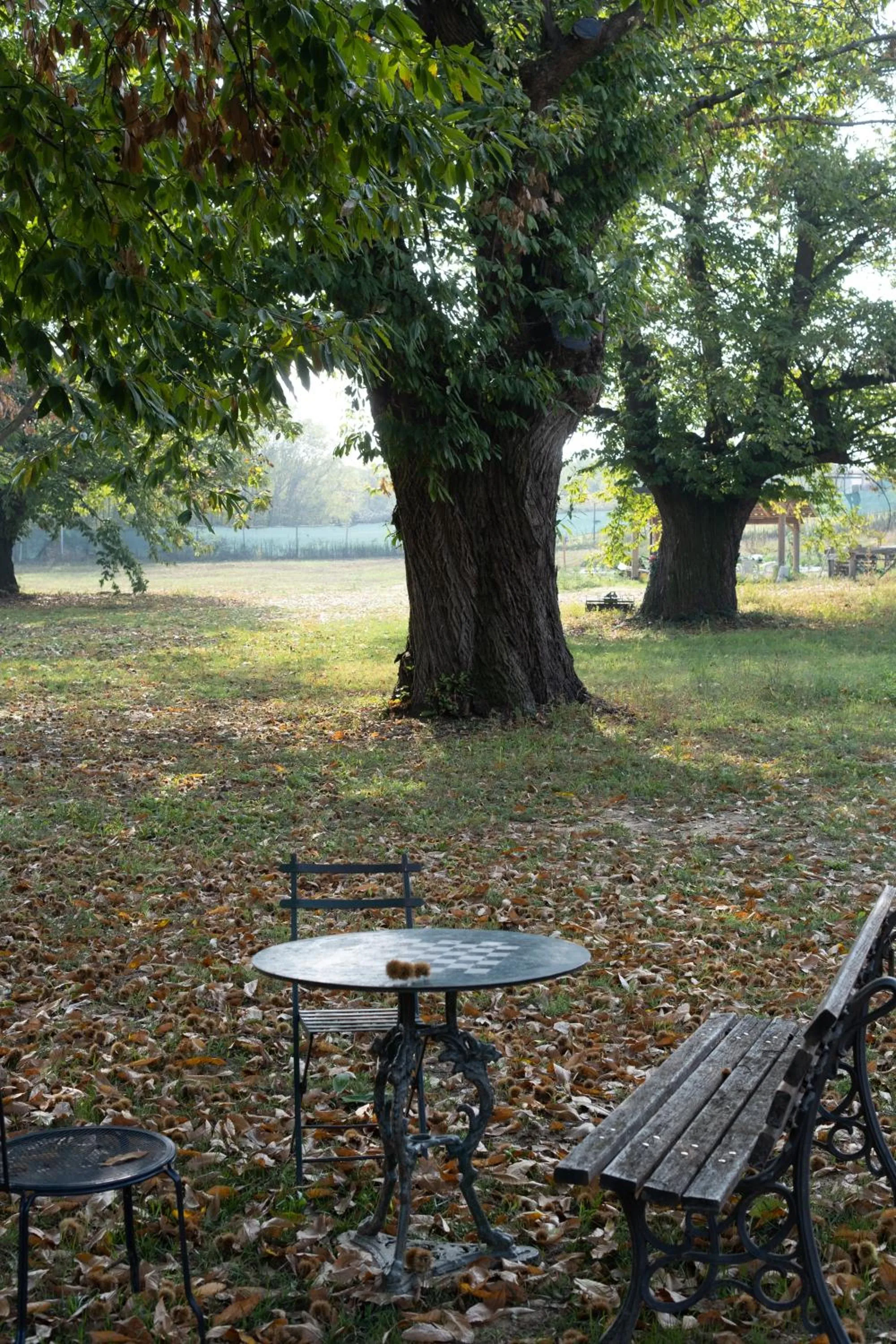 Property building in Il Riccio e la Castagna - Country House