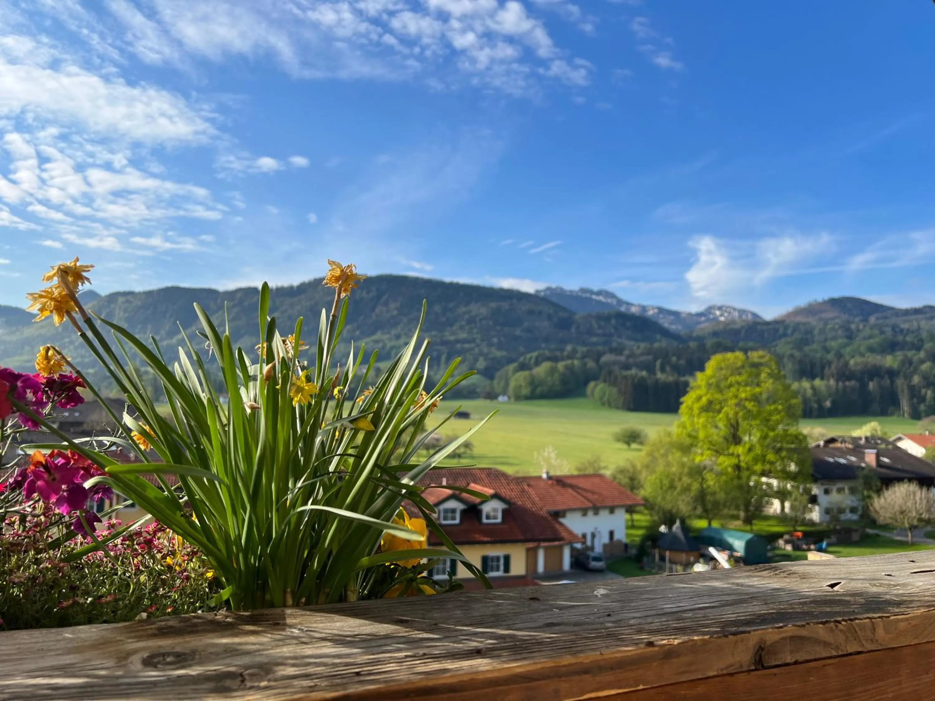 Mountain view in Gasthaus Kampenwand Bernau