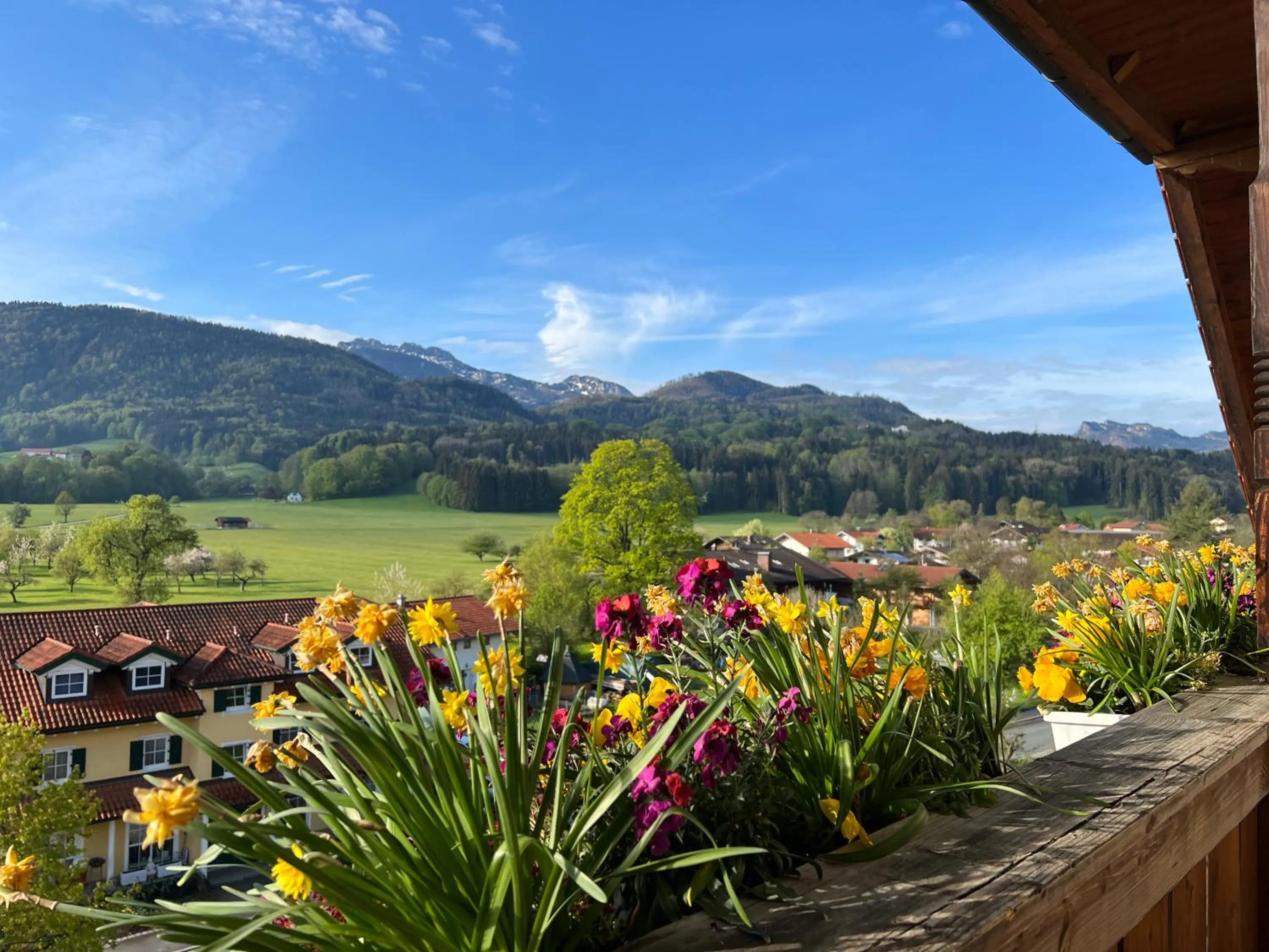 Mountain view in Gasthaus Kampenwand Bernau