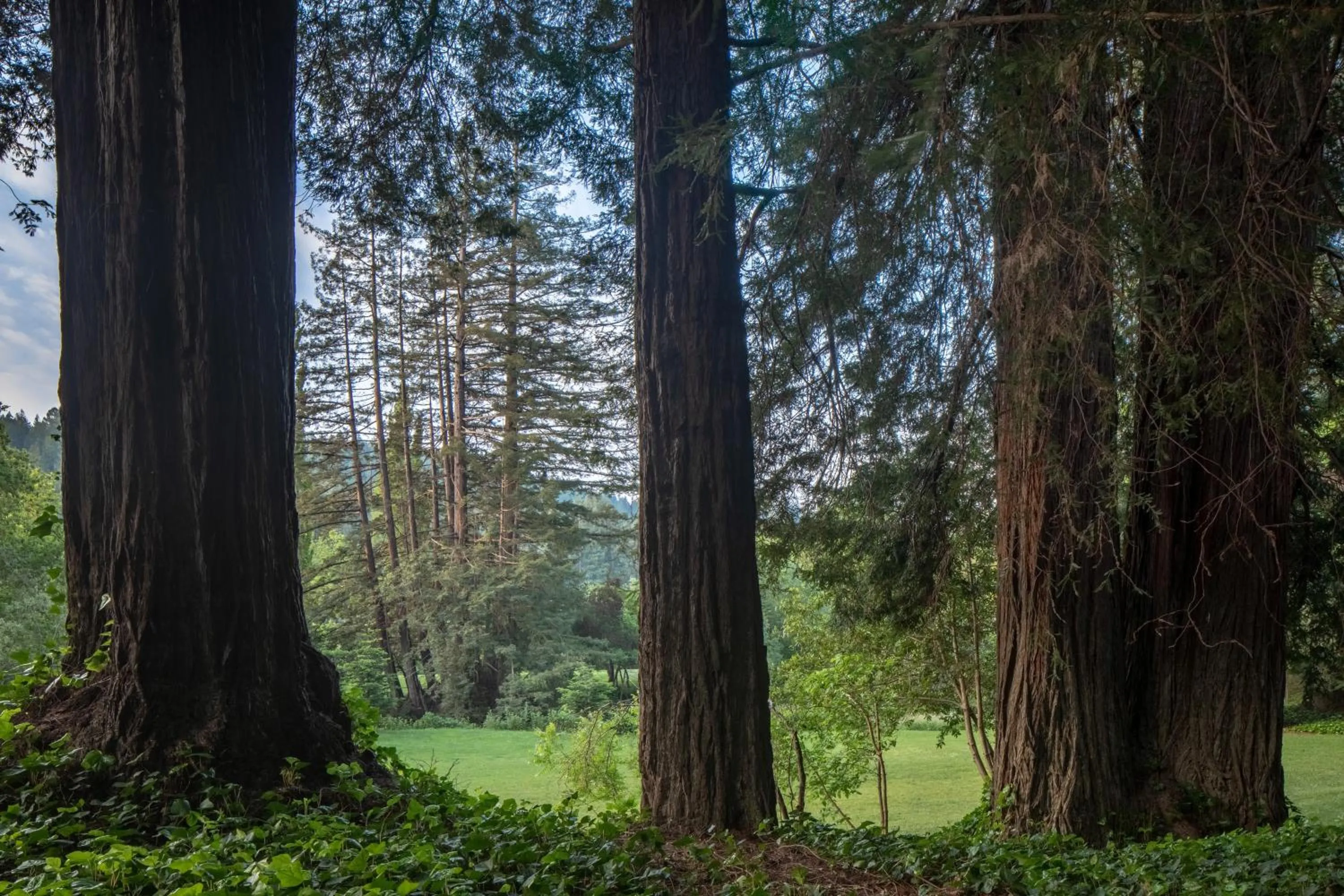 View (from property/room) in Dawn Ranch