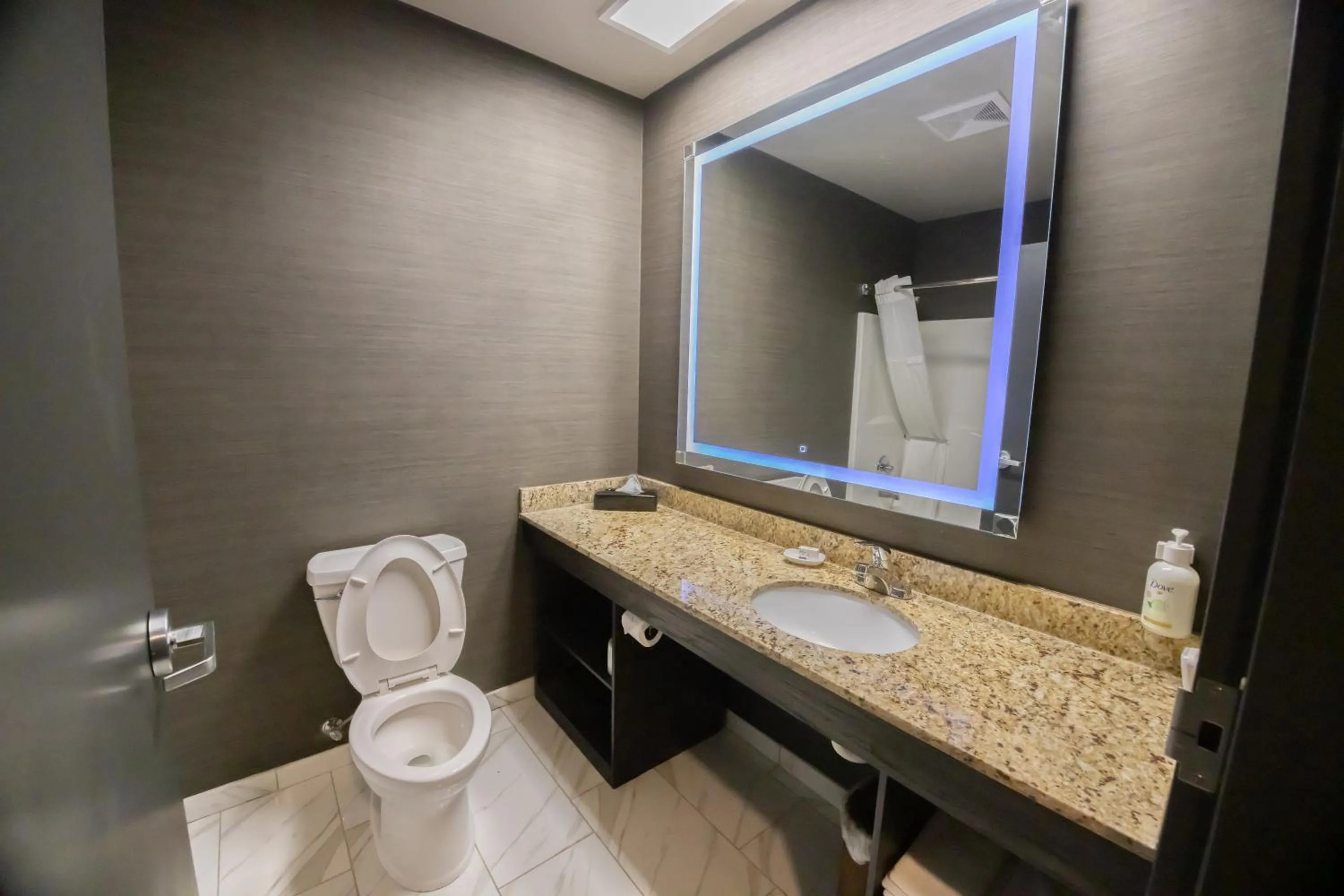 Toilet in Distill-Inn