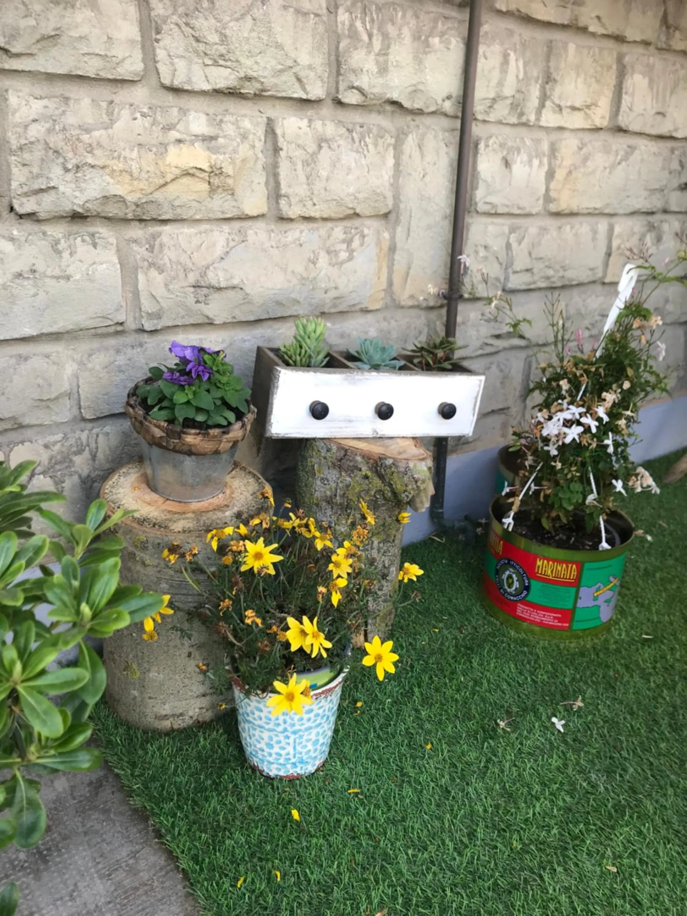 Garden in B&B La Bohème Porto Garibaldi