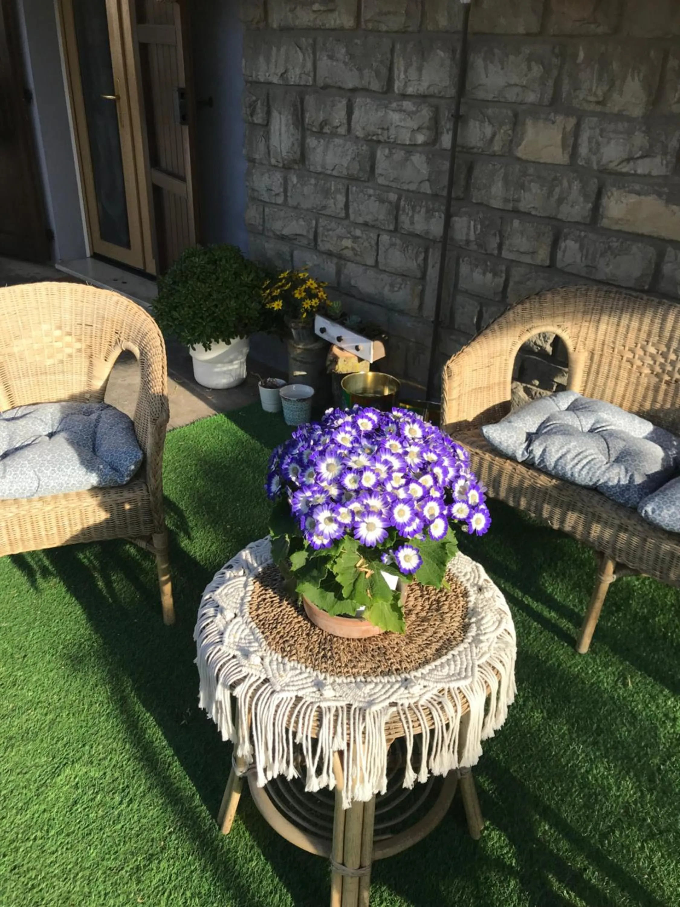 Spring in B&B La Bohème Porto Garibaldi