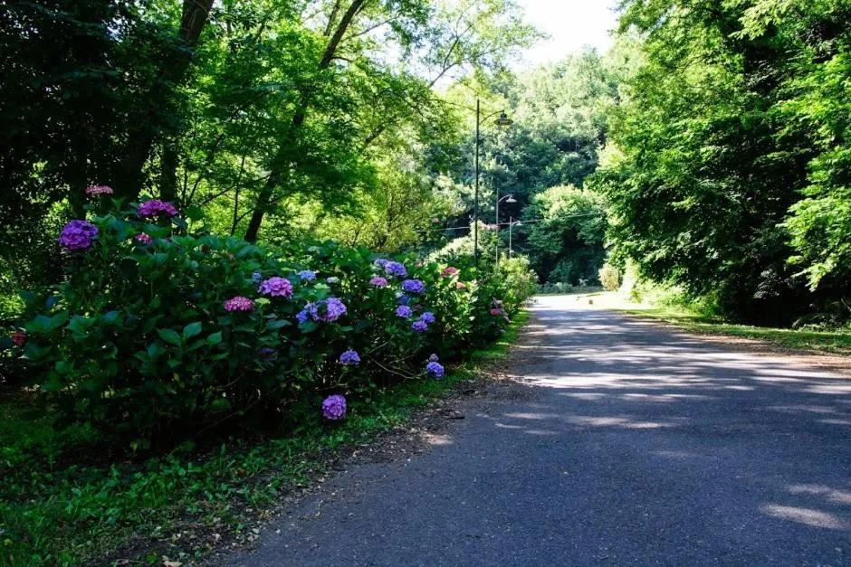 Garden in Hotel Relais Valle Orientina
