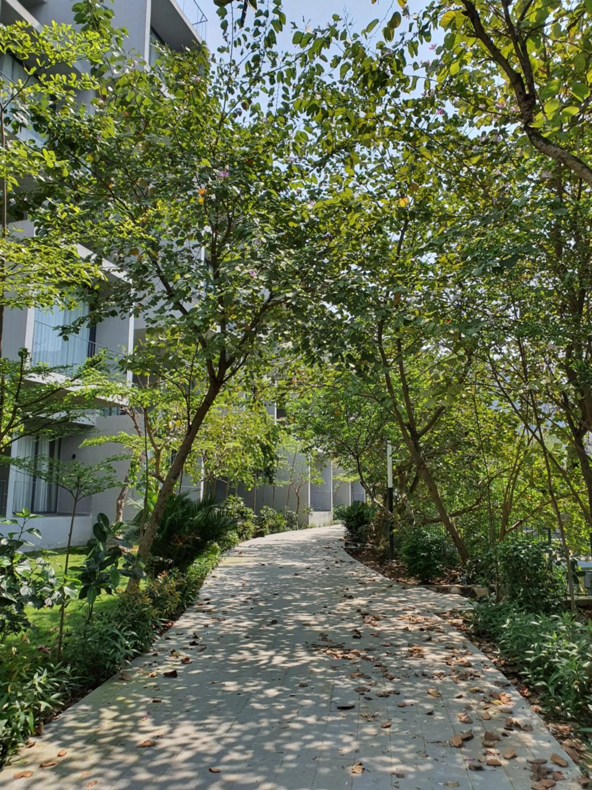 Garden view in Wyndham Grand Vedana Ninh Binh Resort