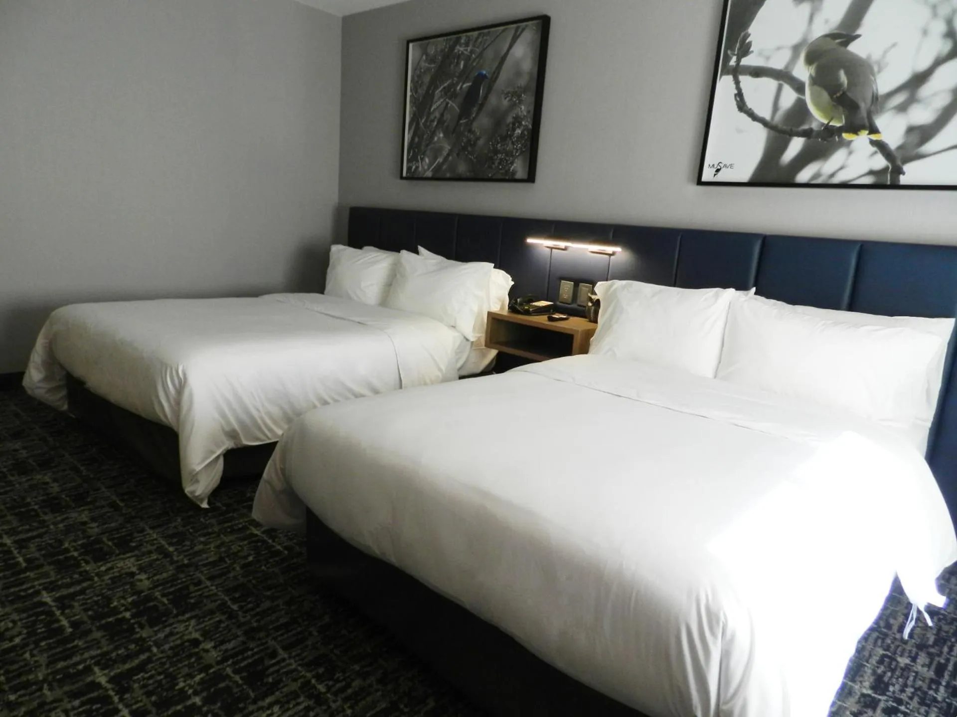 Bedroom, Bed in voco Saltillo Suites by IHG