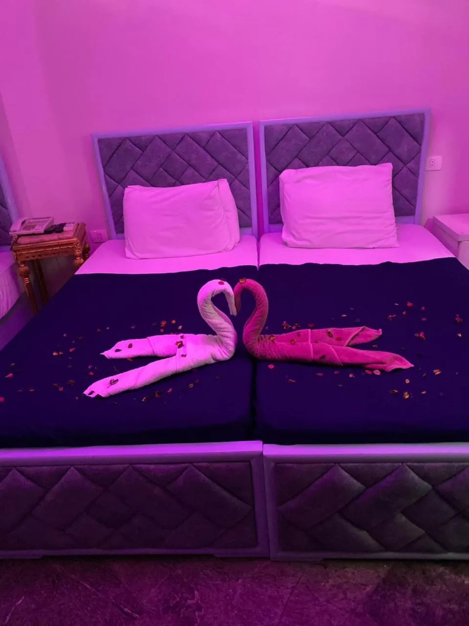 Bed in New Abdeen palace hostel