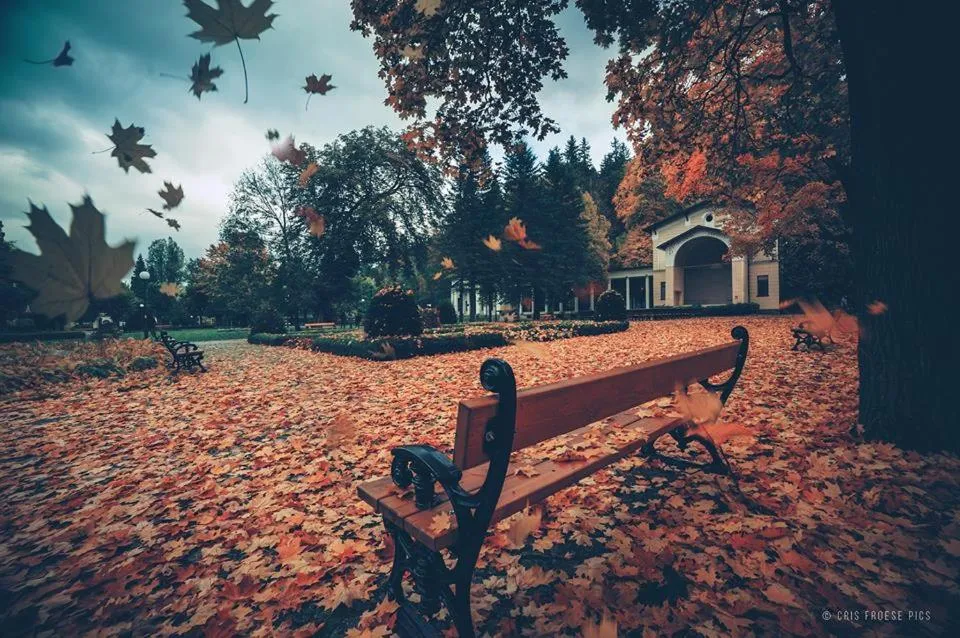 Neighbourhood in Resort de Esperanto Sanatorium Uzdrowiskowe