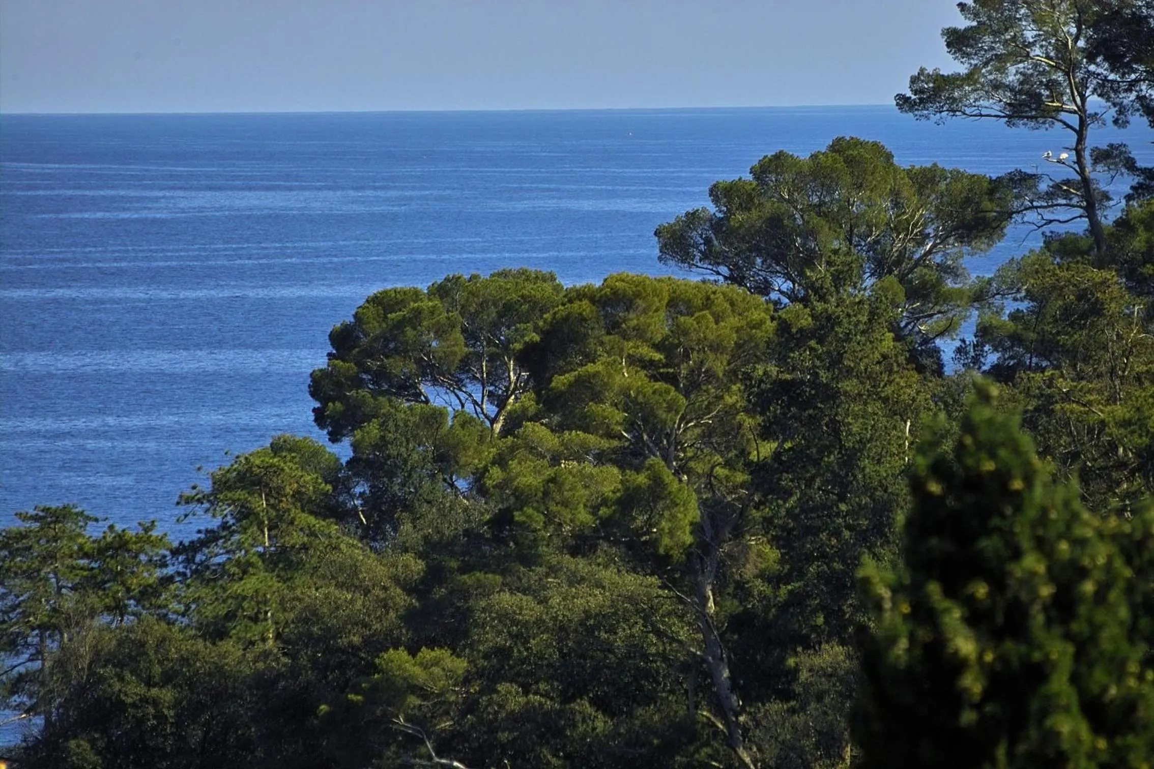 View (from property/room) in Hotel L'Approdo