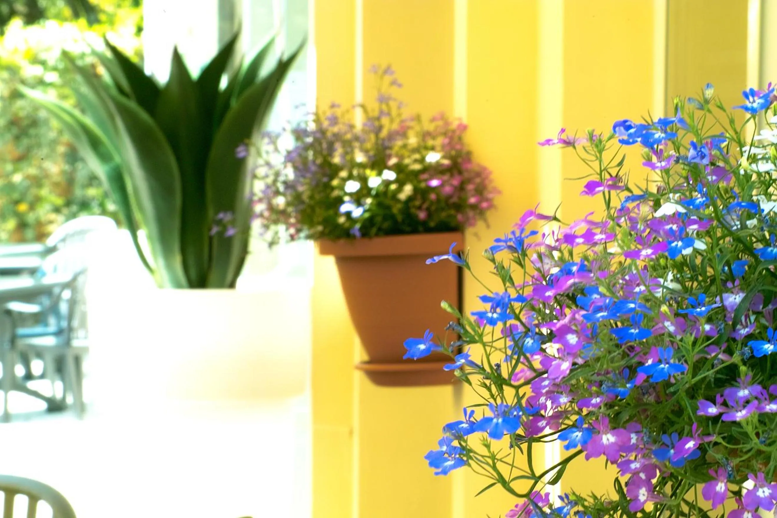 Decorative detail in Hotel L'Approdo