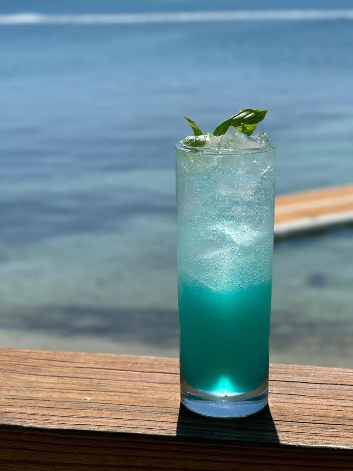 Brisas Del Mar Beach + Dive Resort