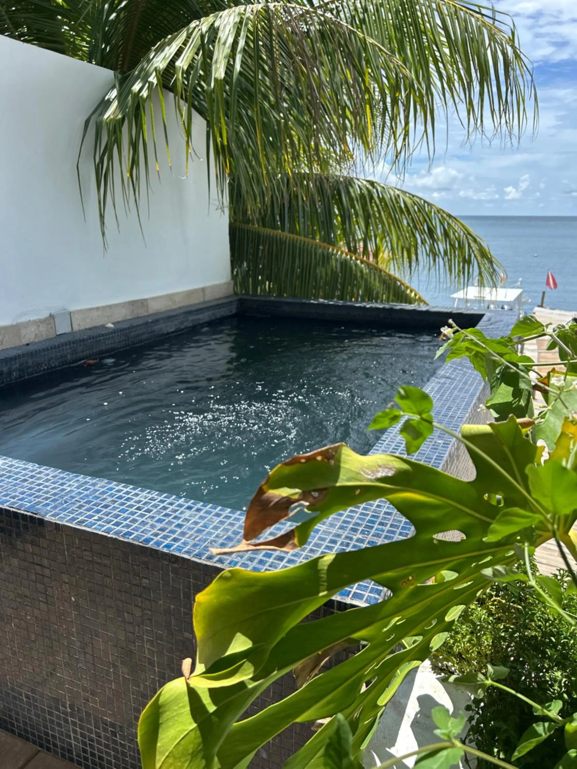 Brisas Del Mar Beach + Dive Resort