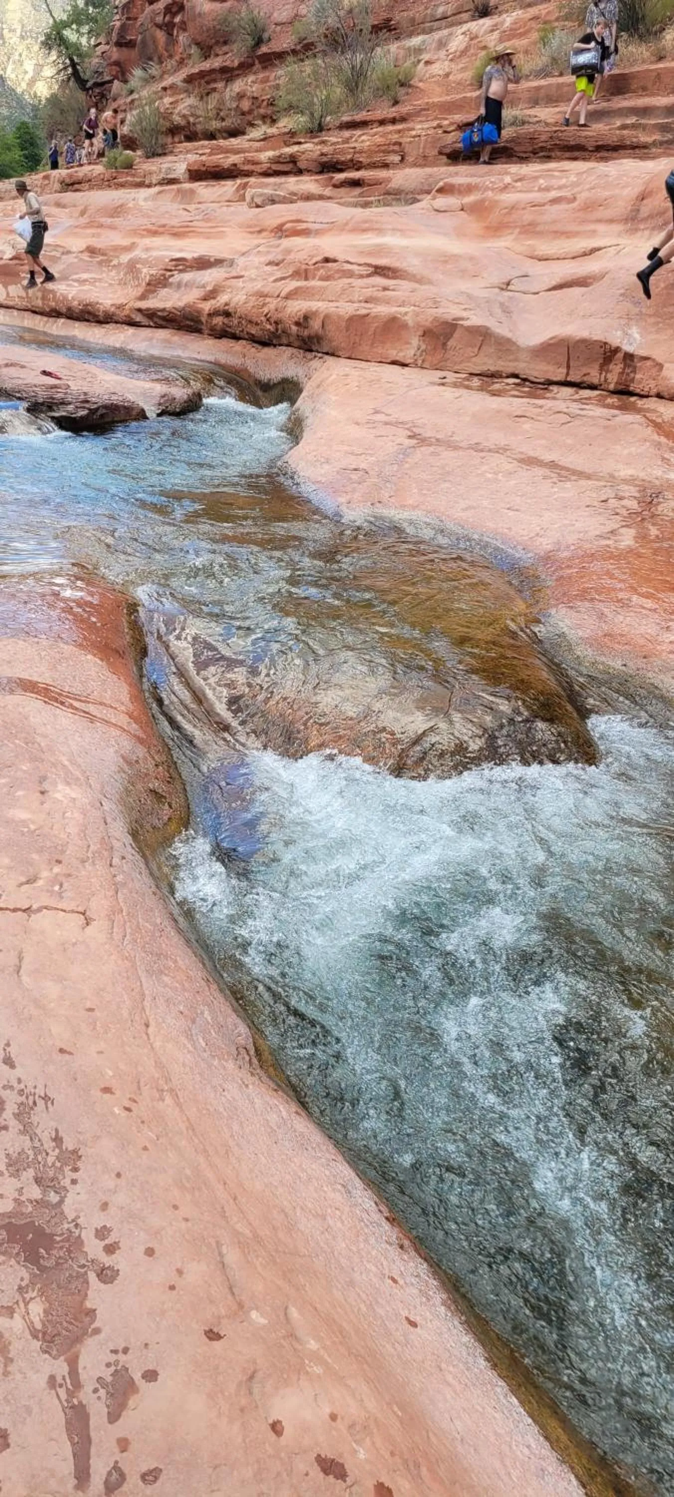 Activities in CASTLE ROCK