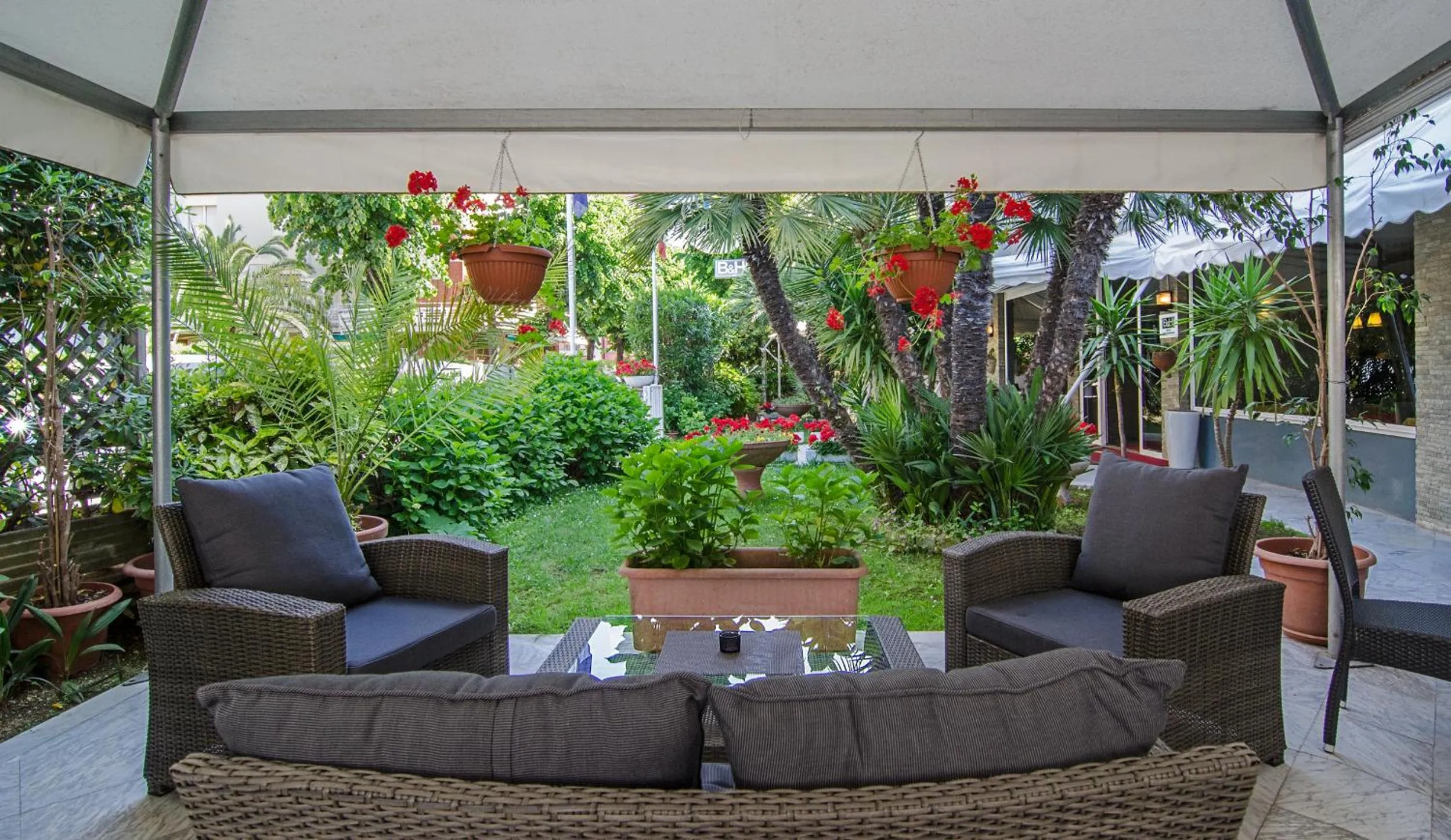 Garden in Hotel Scandinavia