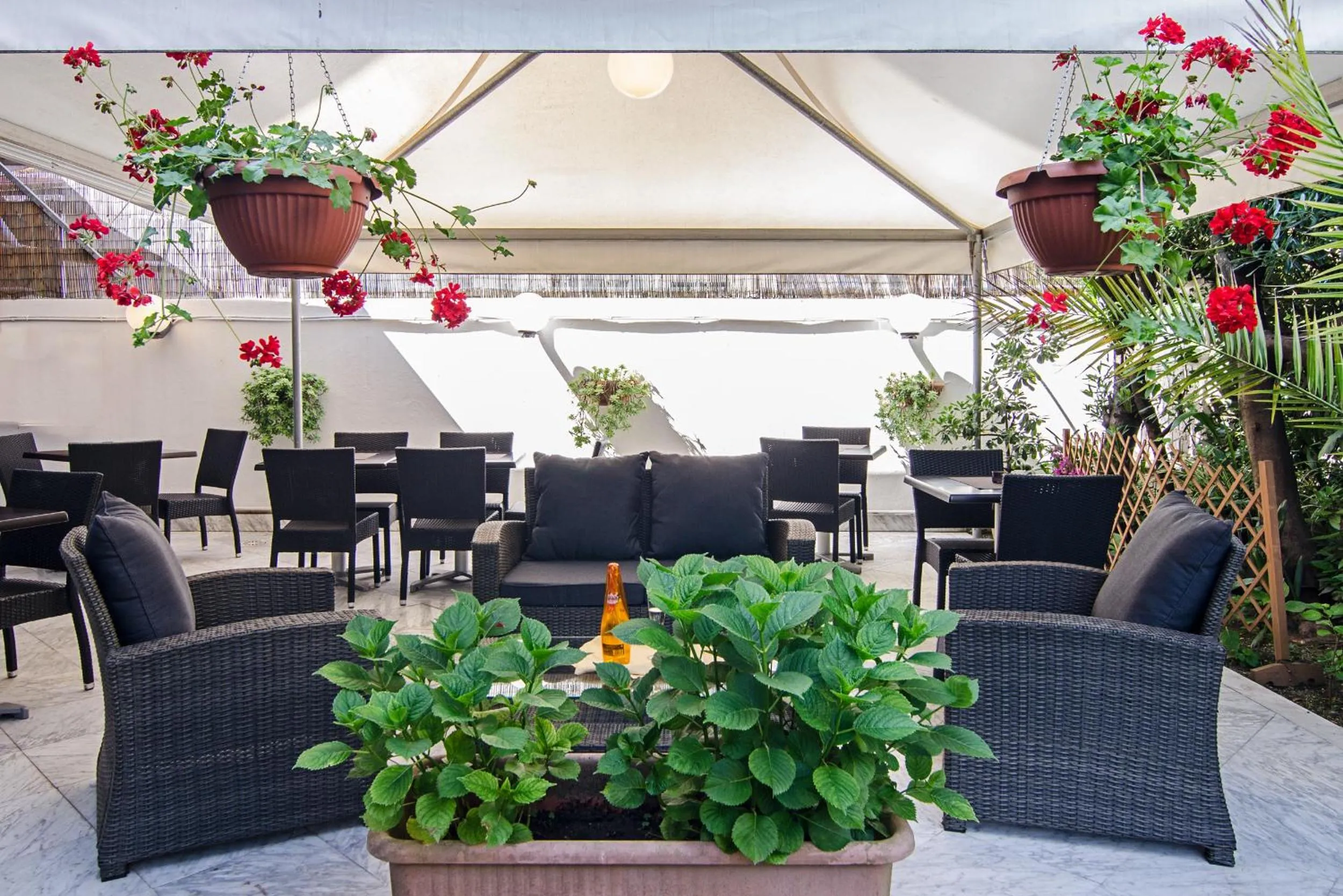 Garden in Hotel Scandinavia