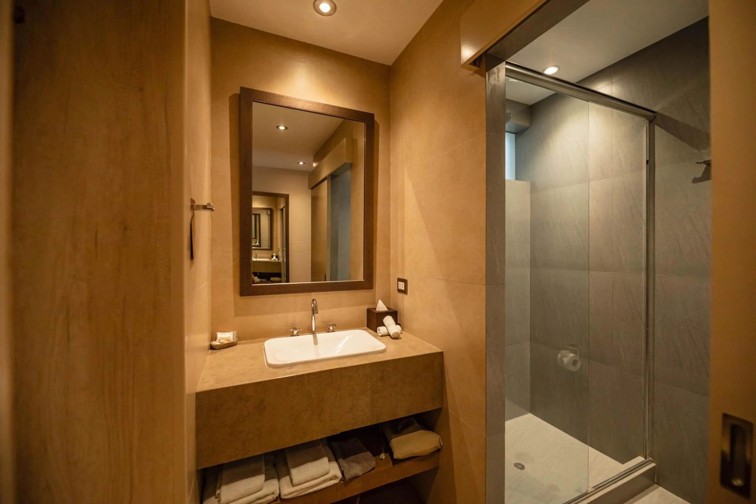 Bathroom in Saska Boutique Hotel