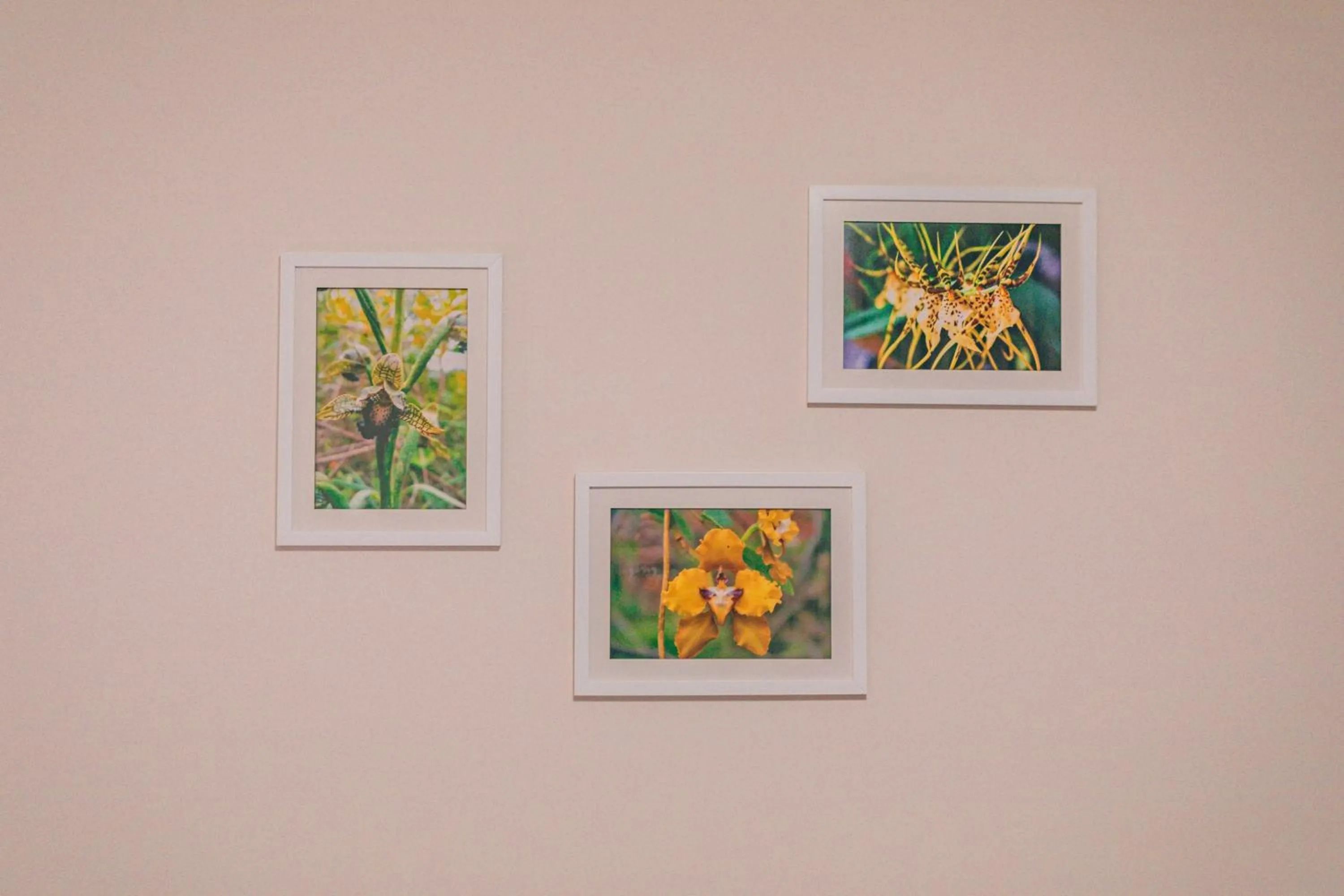 Property logo or sign in Saska Boutique Hotel