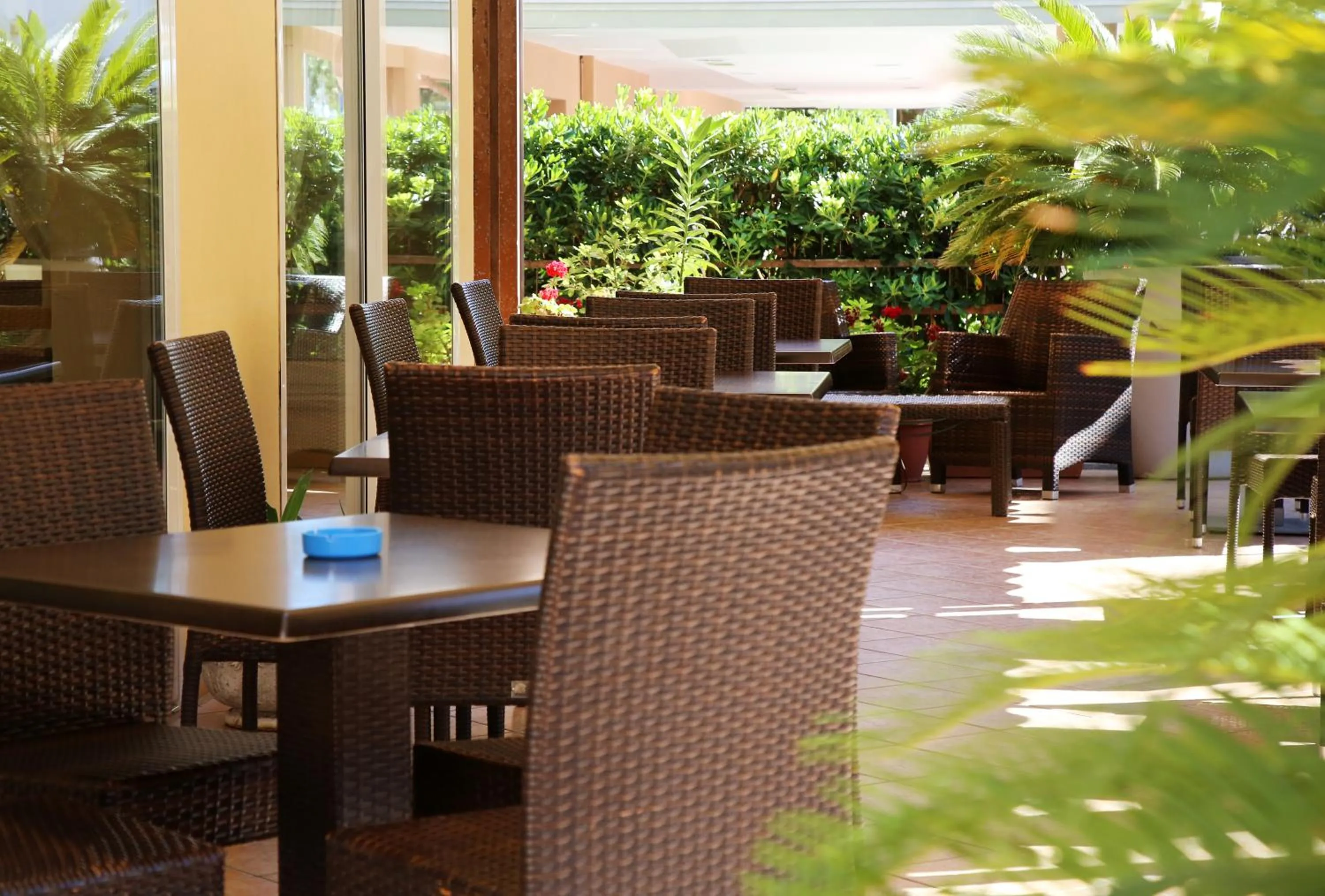 Property building in Hotel Elisir