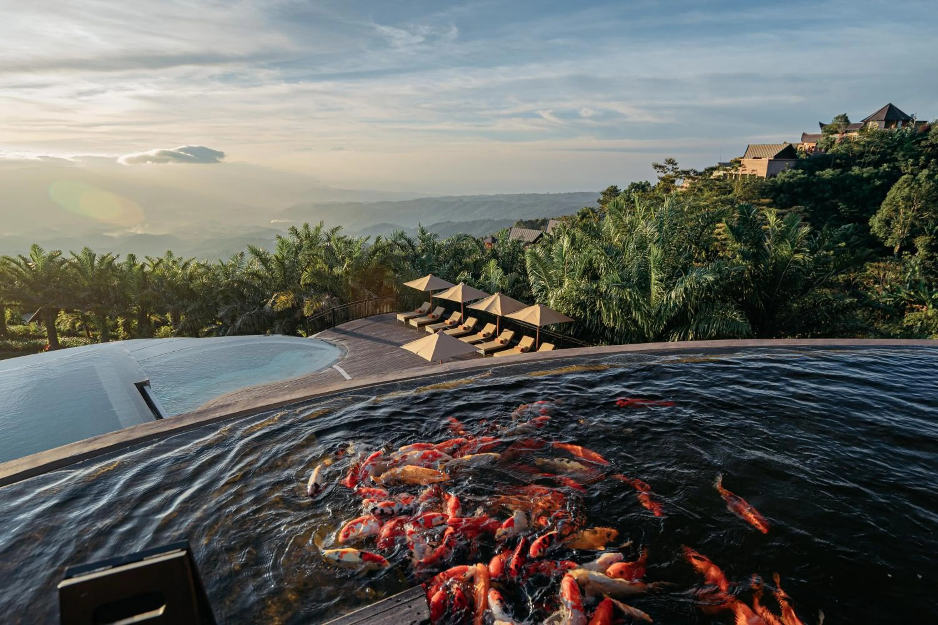 View (from property/room) in Elevate Bali