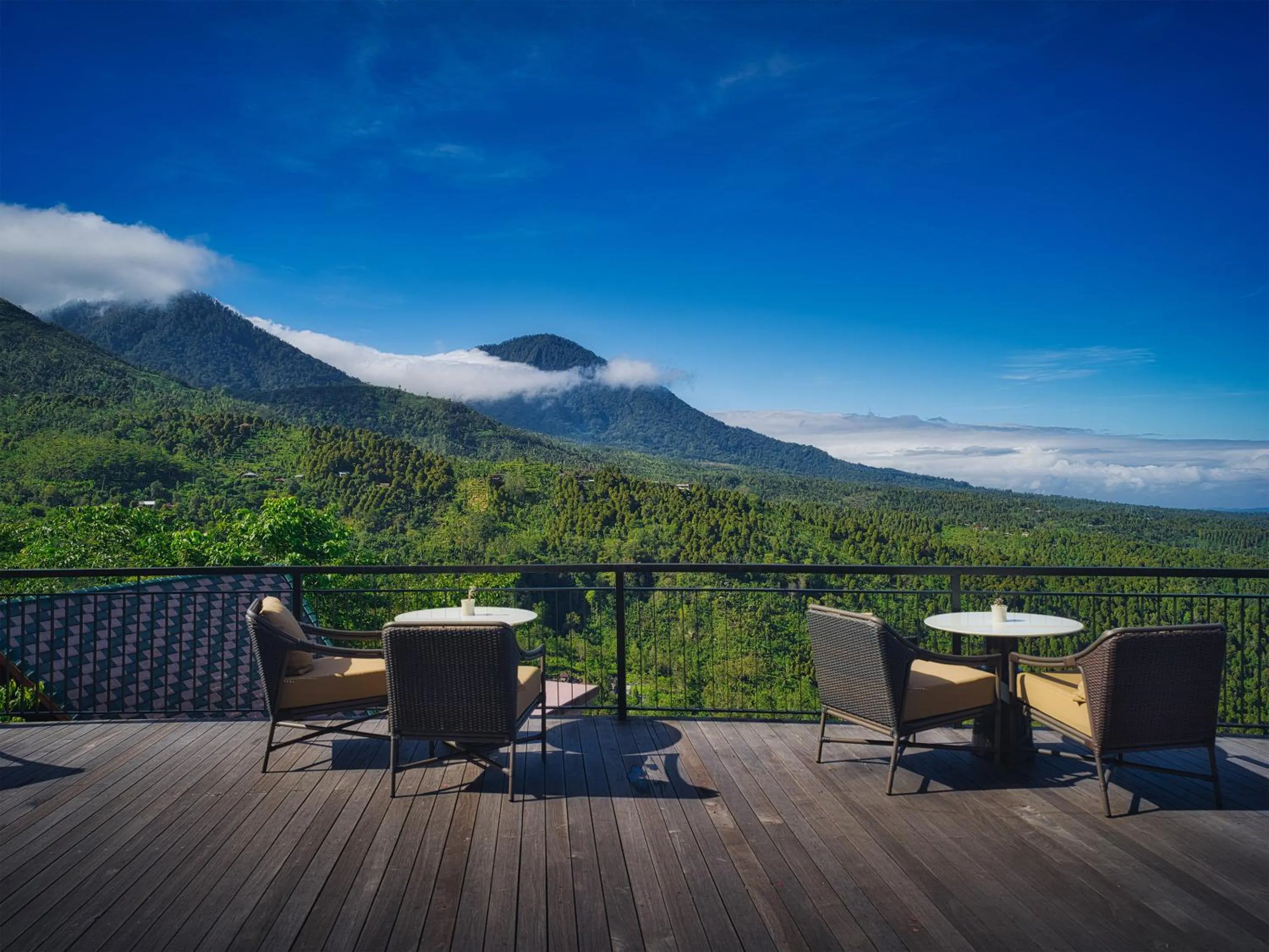 Restaurant/places to eat in Elevate Bali