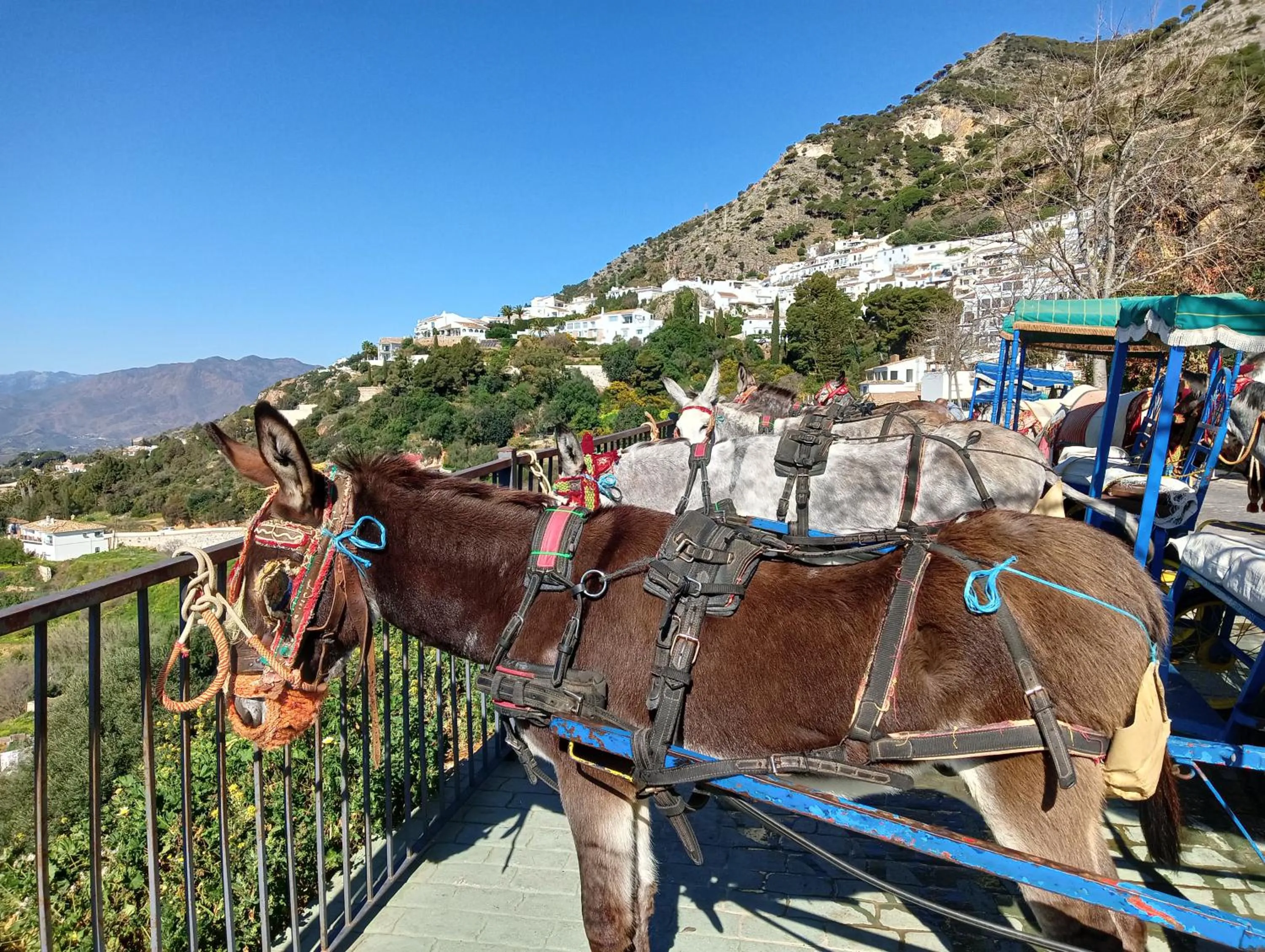 Activities in OPUNTIA Hotel Boutique