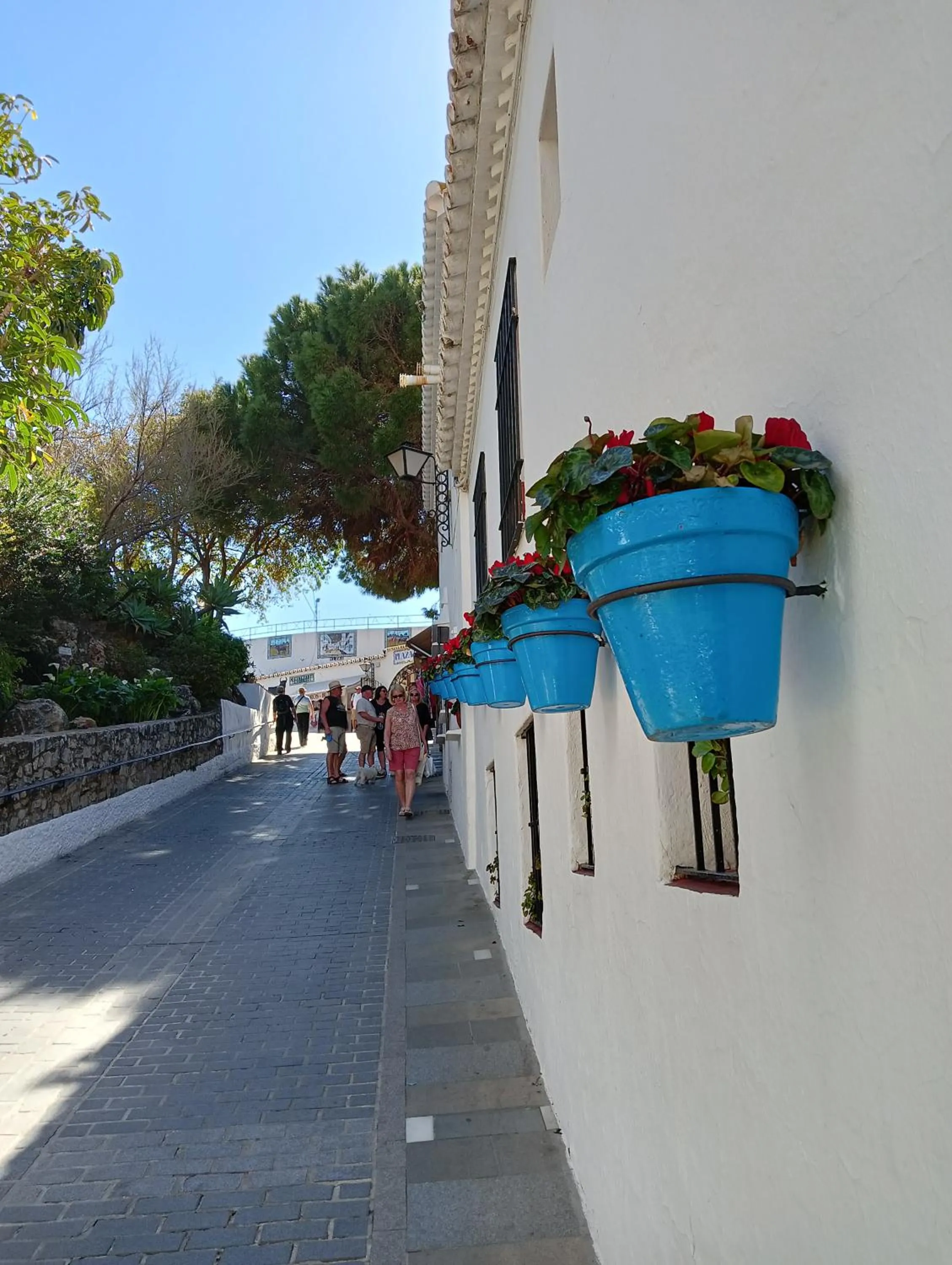 Other in OPUNTIA Hotel Boutique