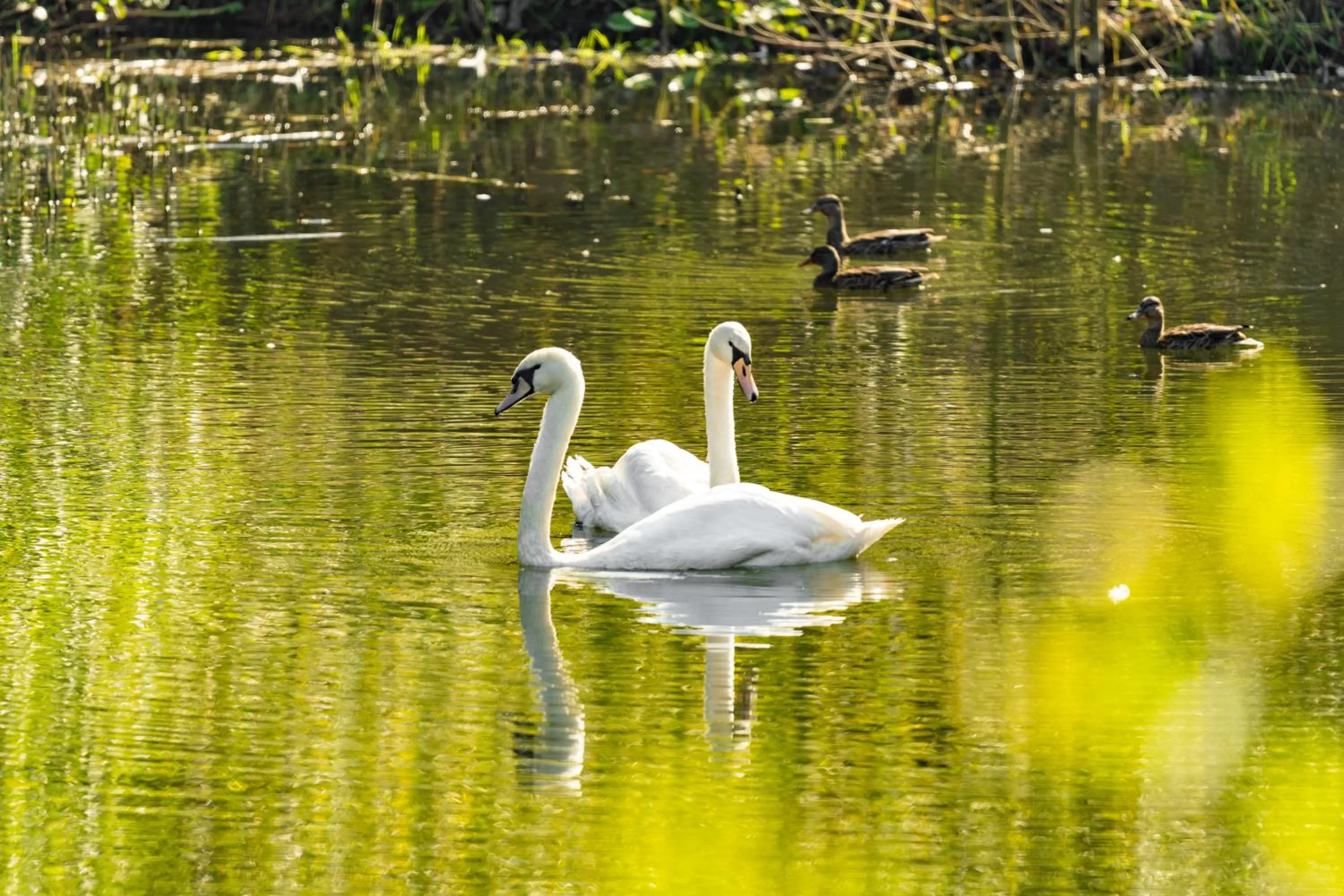 Animals in Waldschlösschen Brotterode